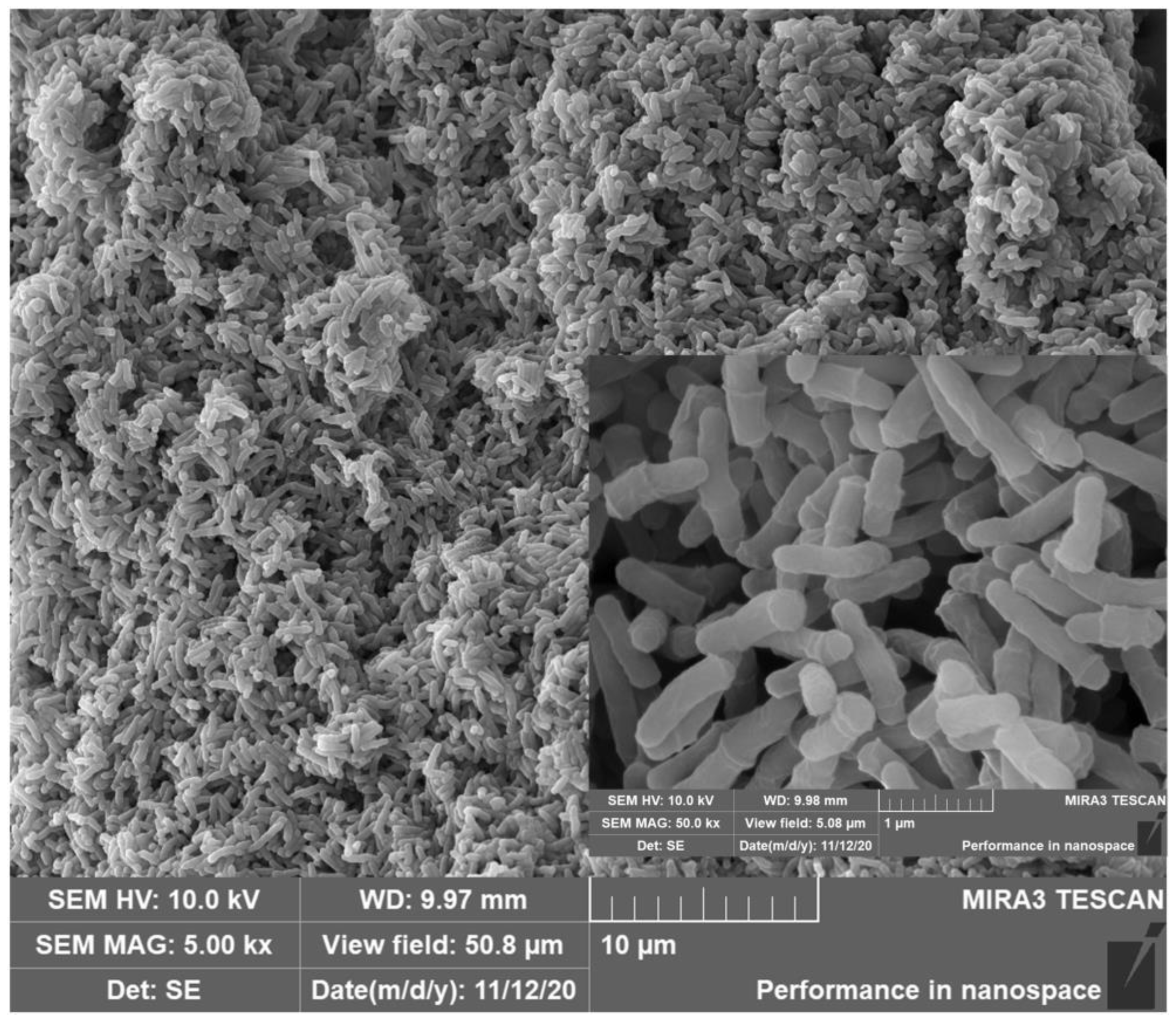 Ijerph 19 11097 g001