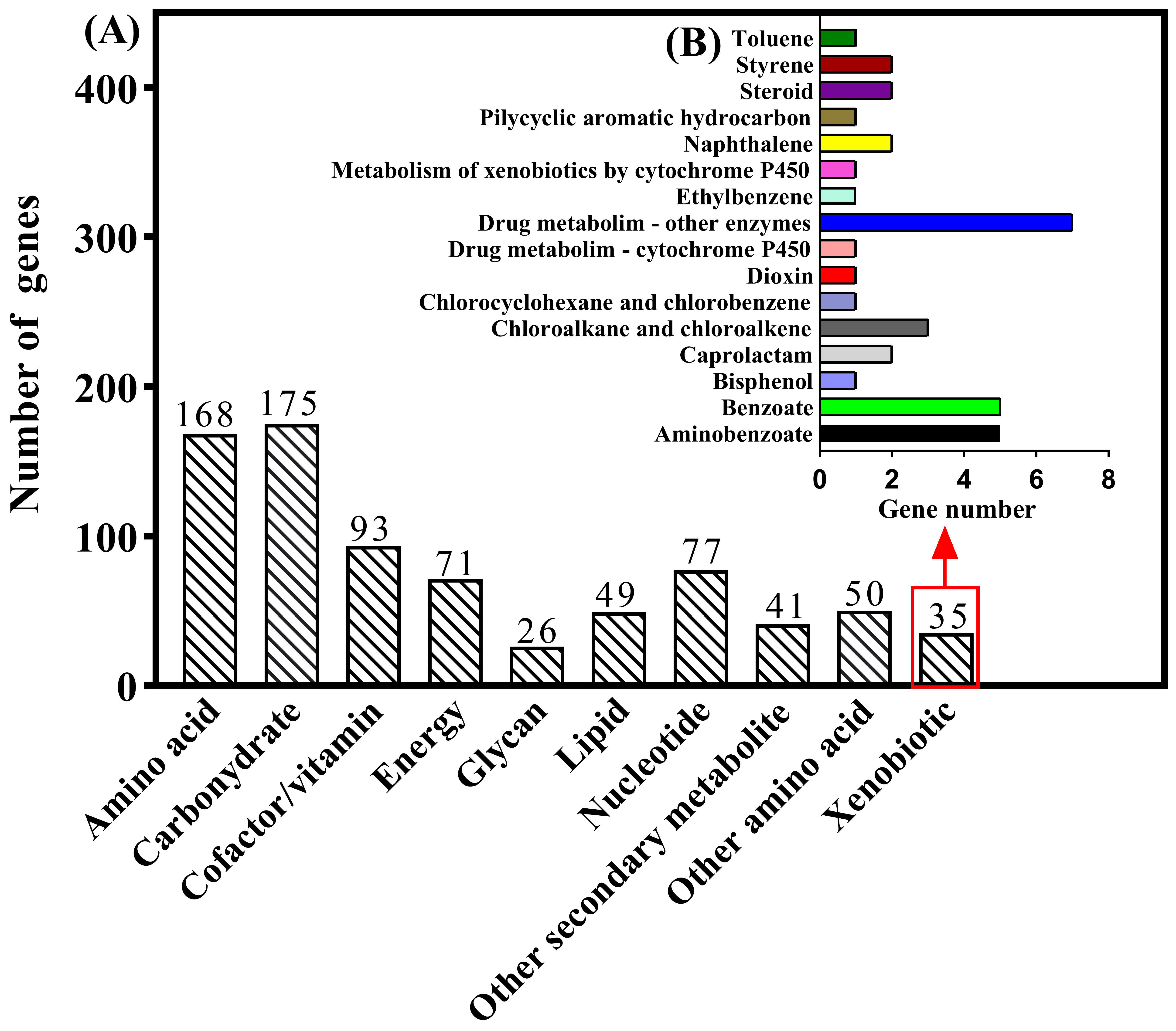 Ijerph 19 11097 g004
