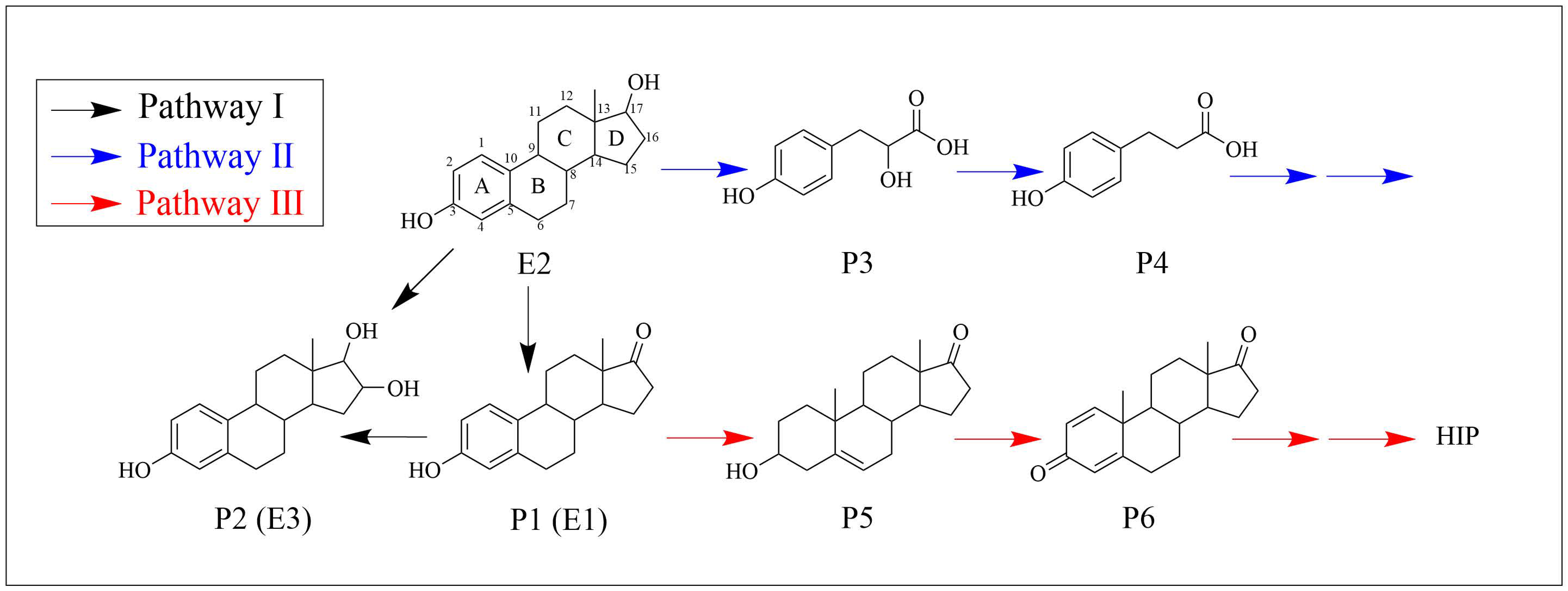 Ijerph 19 11097 g006