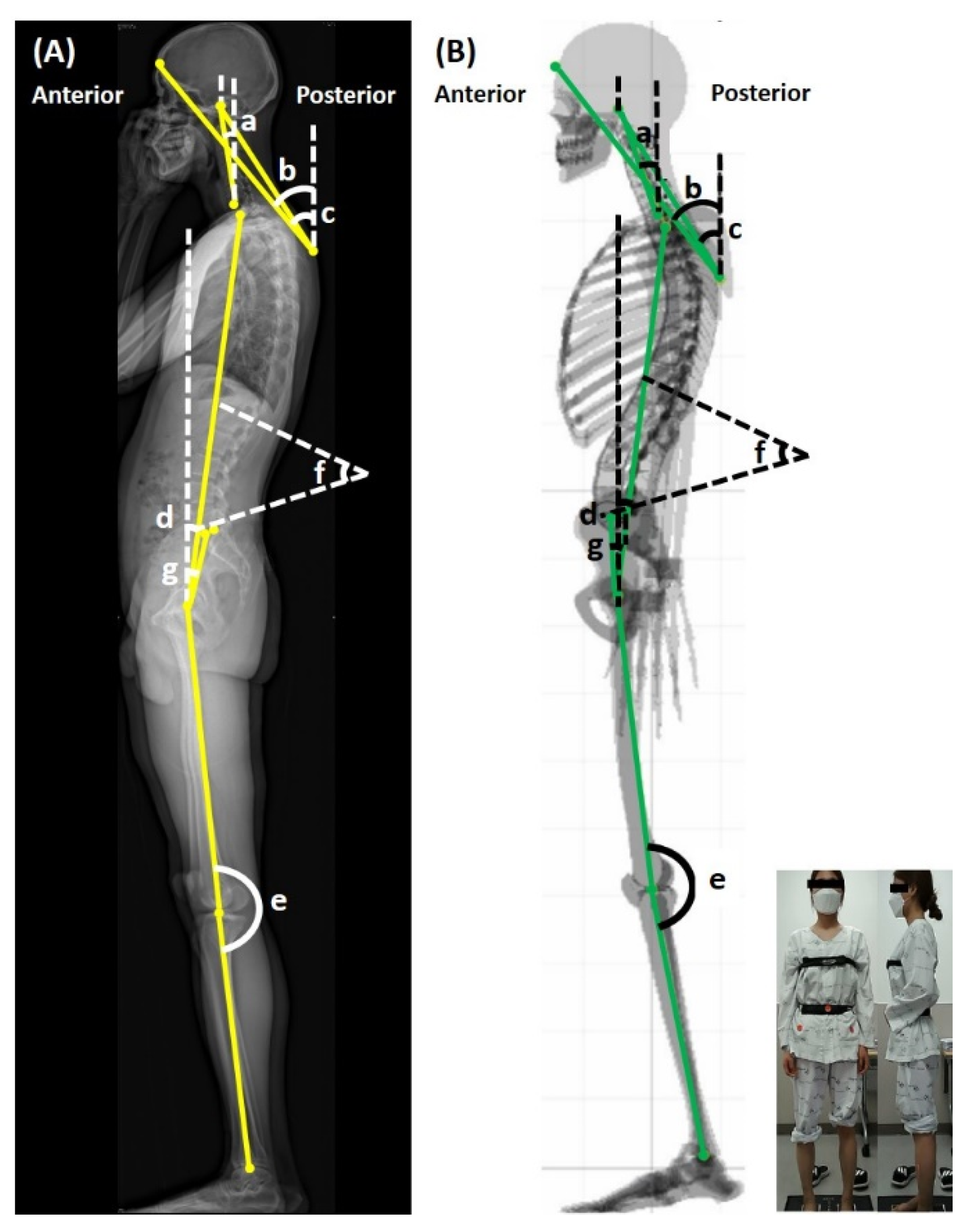 Ijerph 19 11109 g002 550