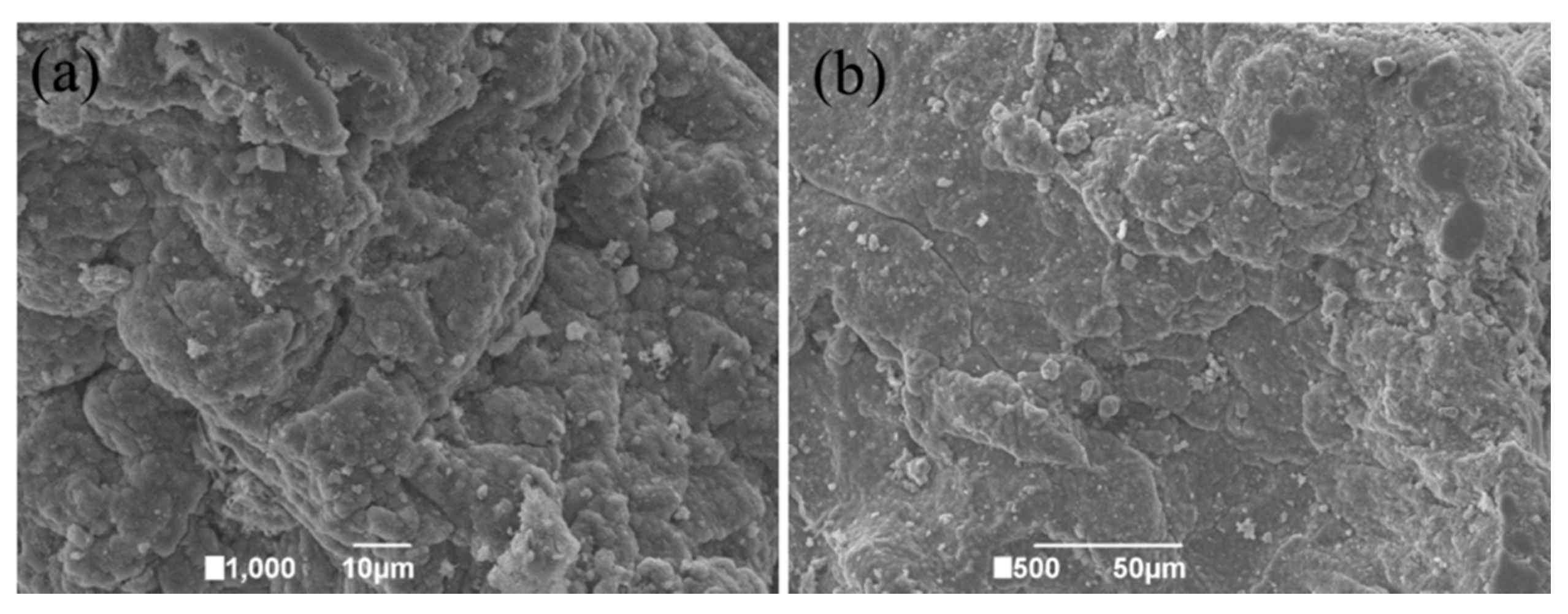 Ijerph 19 11123 g004 550