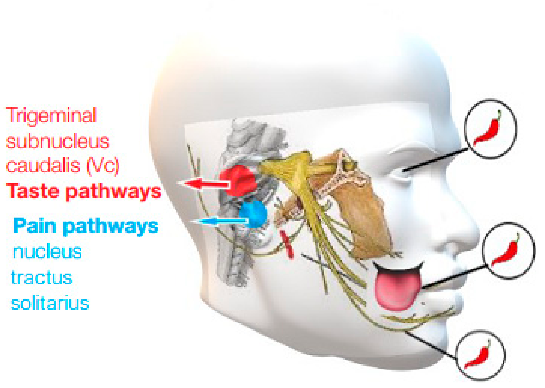 Ijerph 19 11187 g005 550