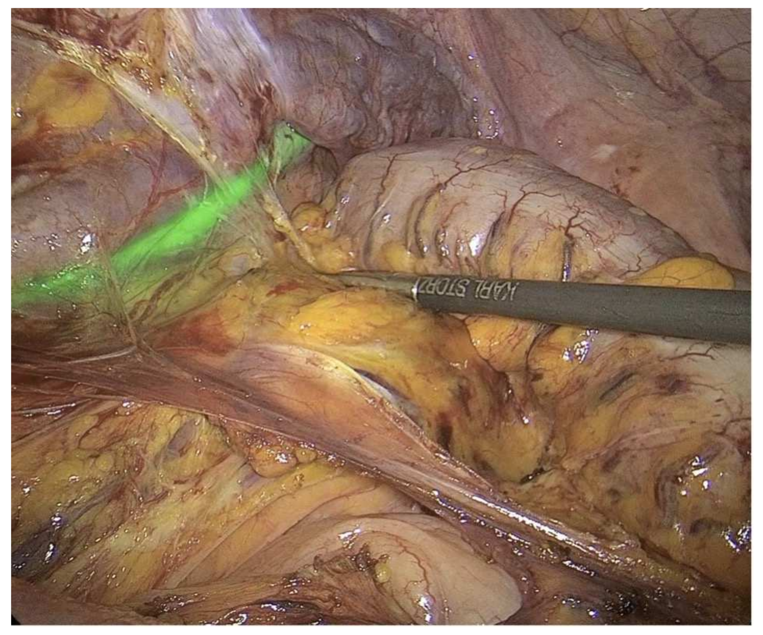 Ijerph 19 11194 g002 550