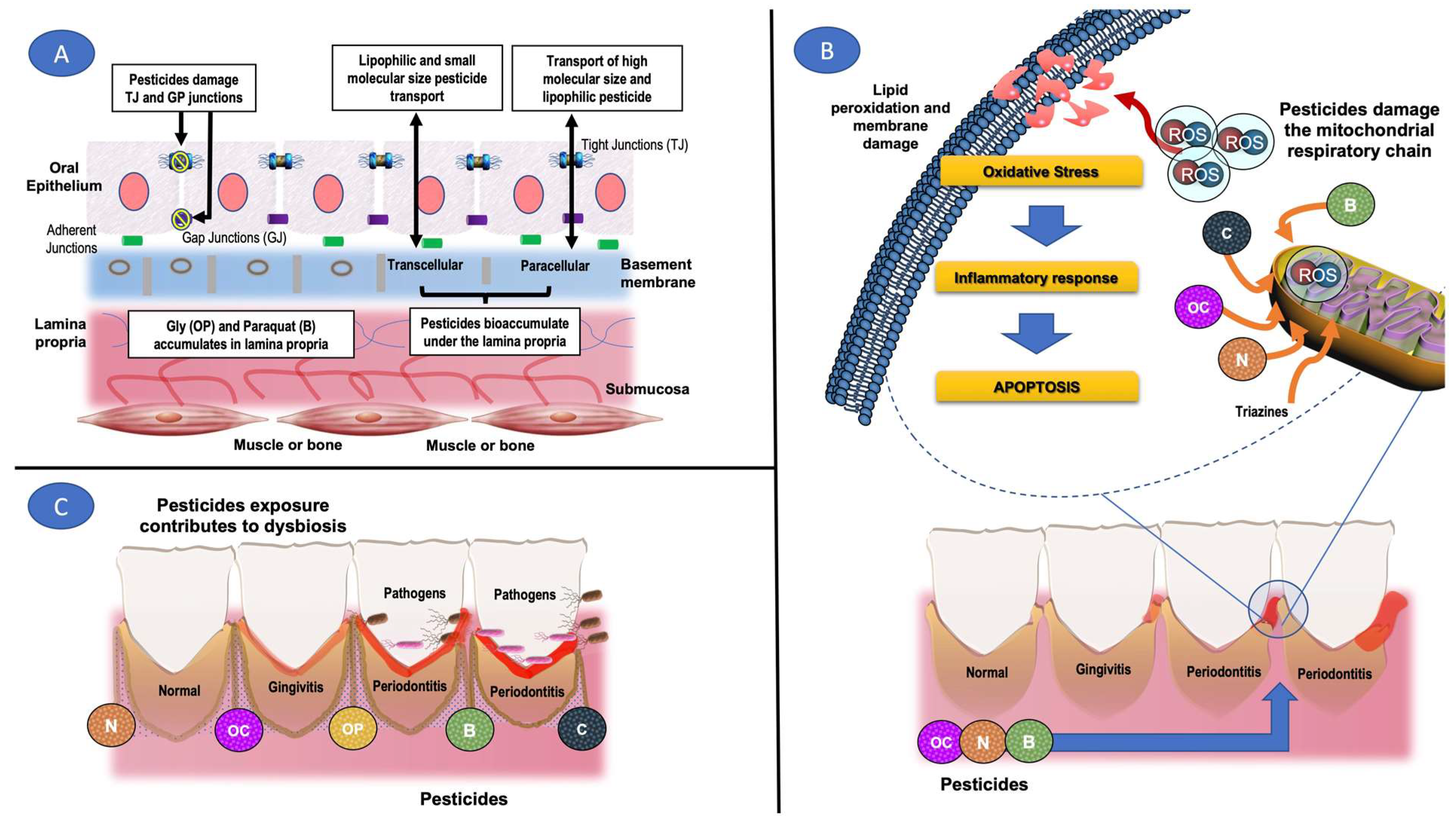 Ijerph 19 11257 g002 Ijerph 19 11257 g002