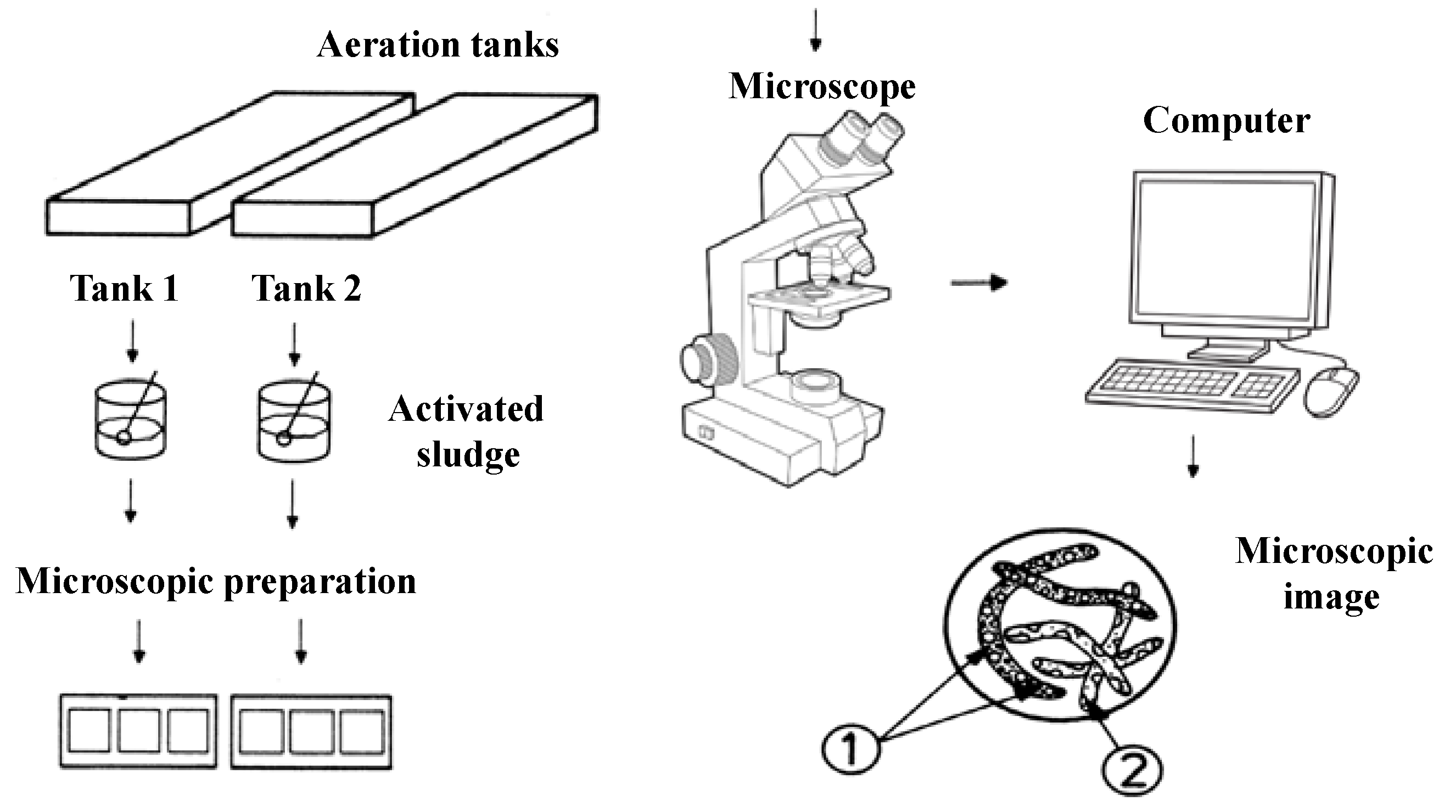 Ijerph 19 11323 g001 550