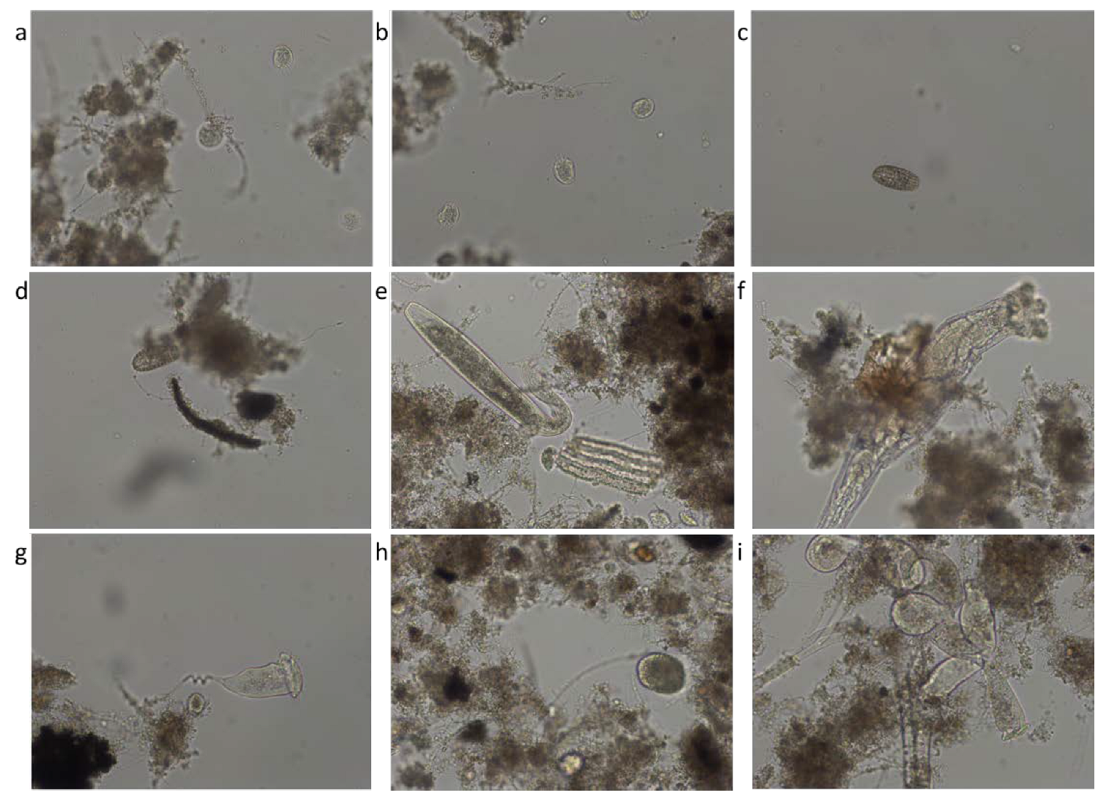 Ijerph 19 11323 g009 550