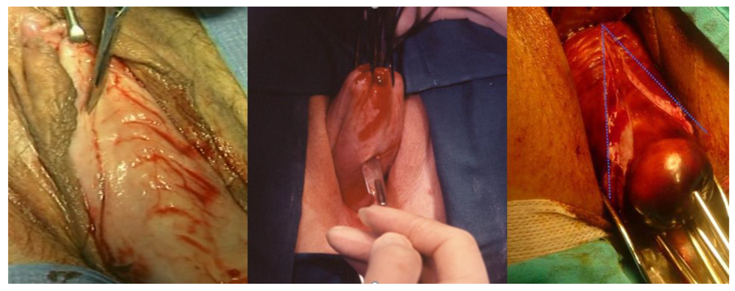 Ijerph 19 11381 g001 550