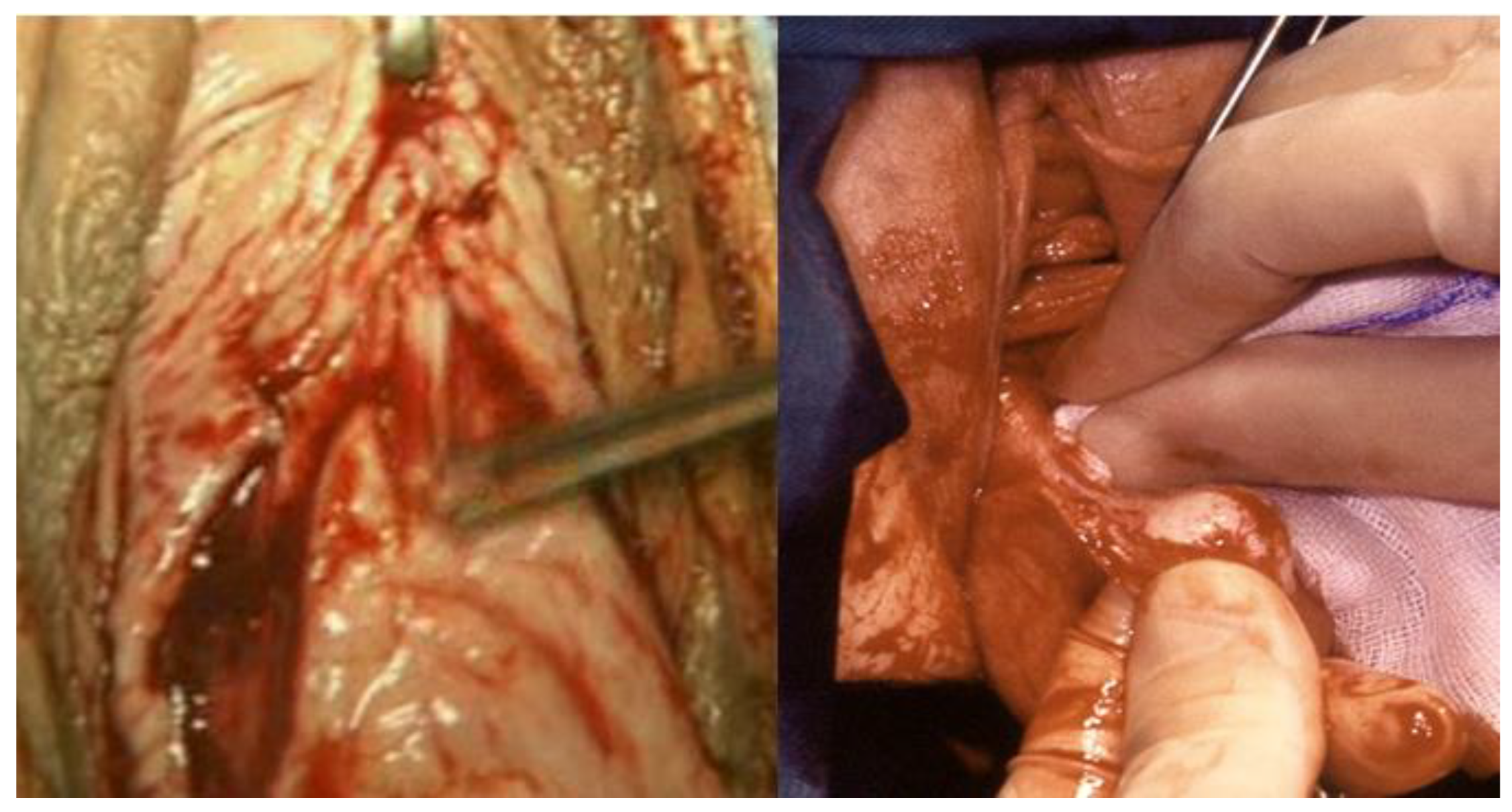 Ijerph 19 11381 g002 550