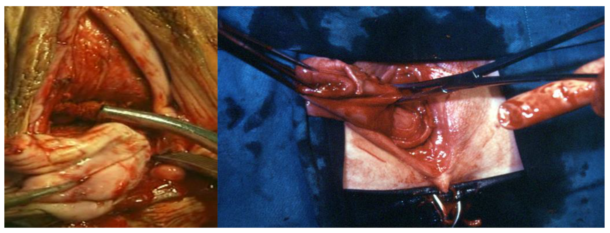 Ijerph 19 11381 g004 550