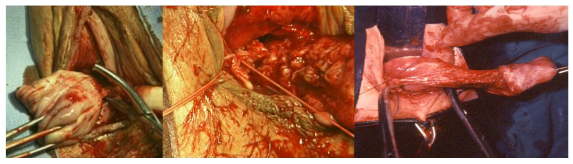 Ijerph 19 11381 g005 550