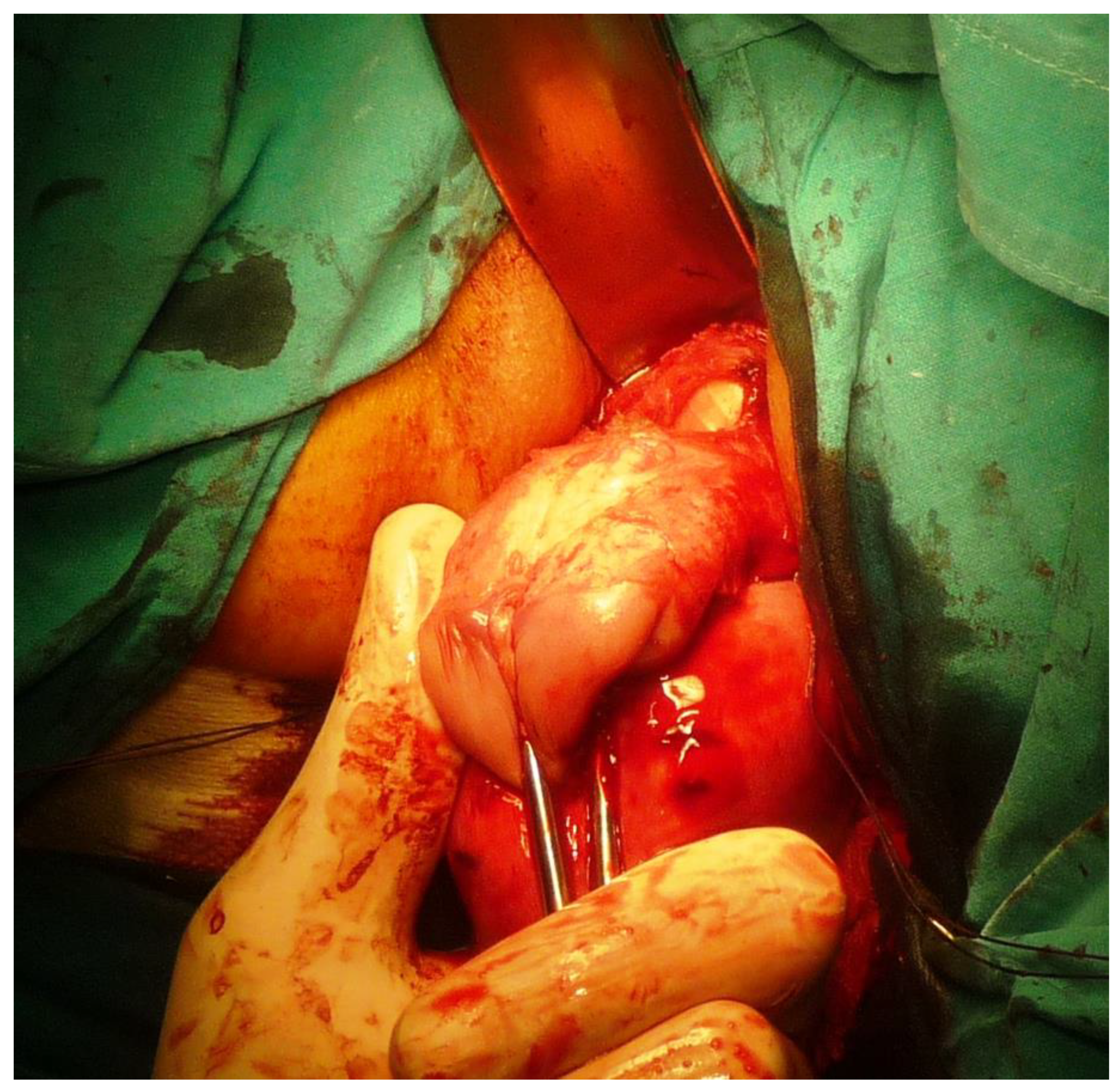 Ijerph 19 11381 g006 550