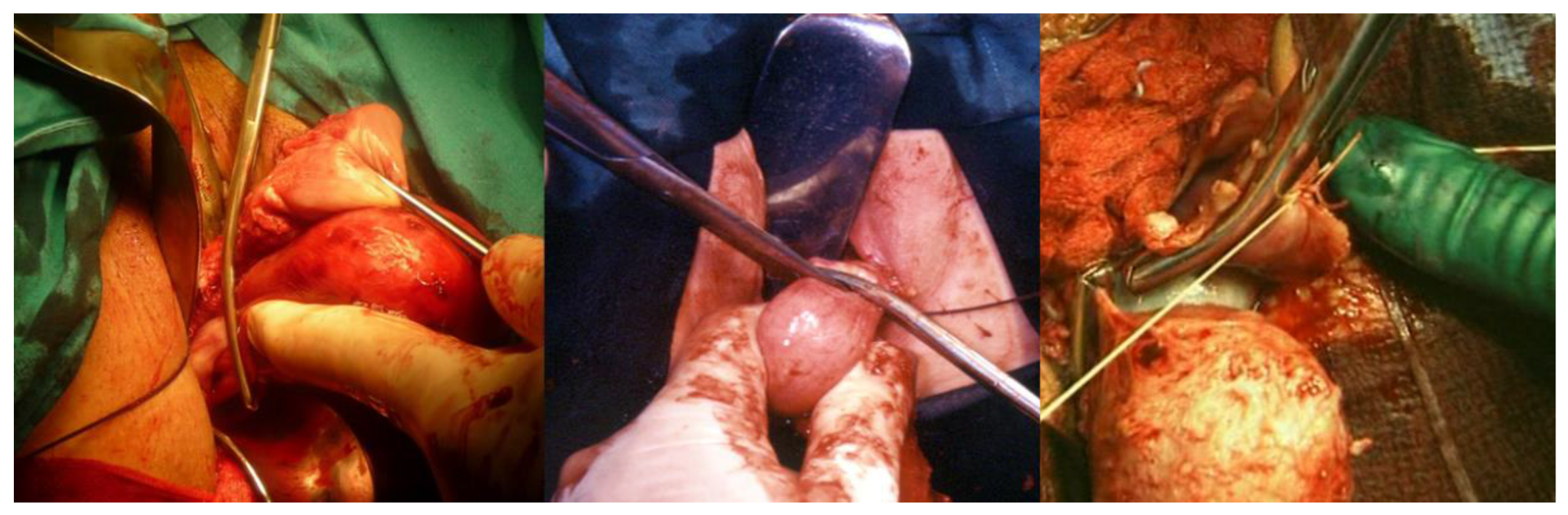 Ijerph 19 11381 g007 550