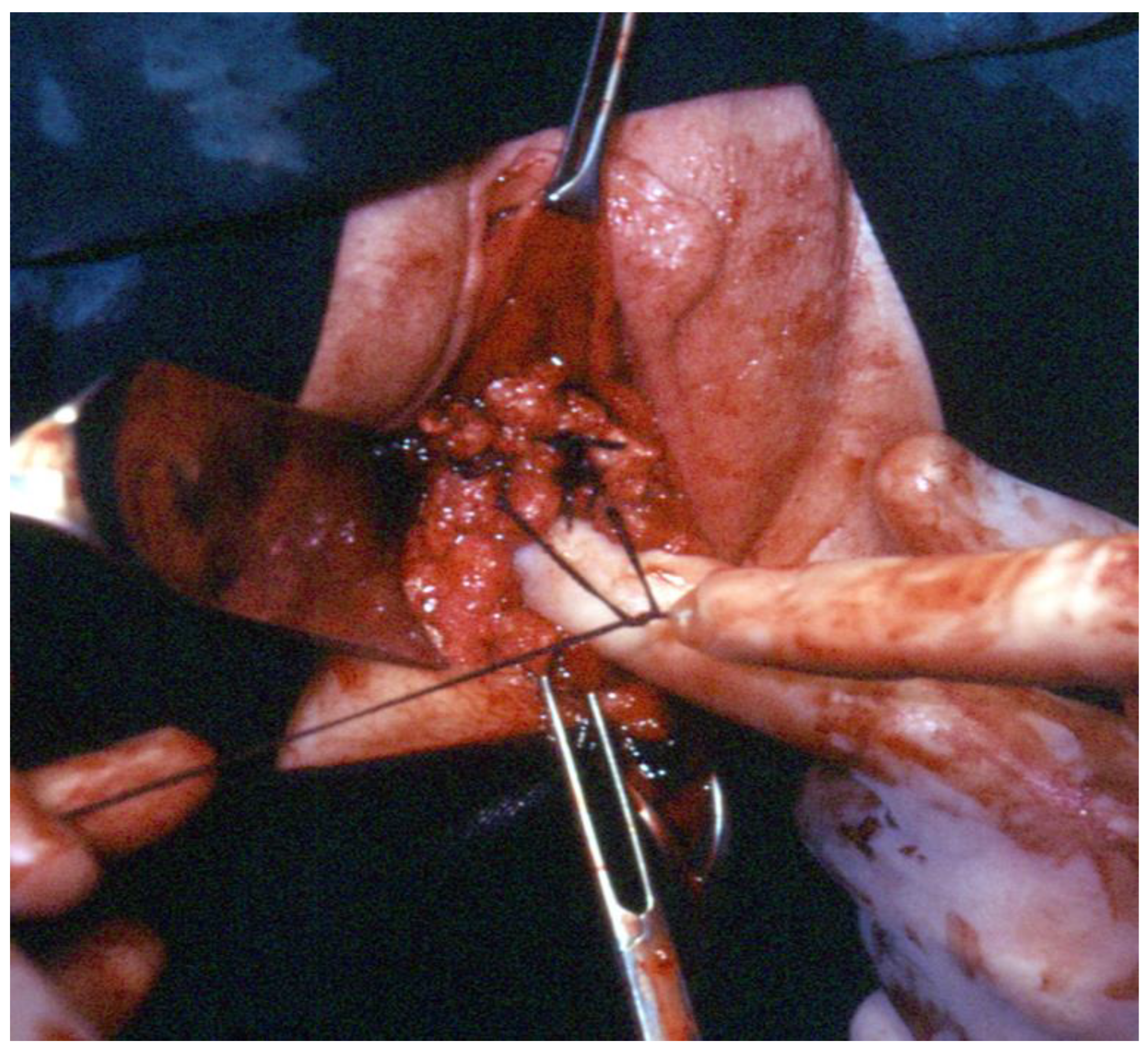 Ijerph 19 11381 g008 550