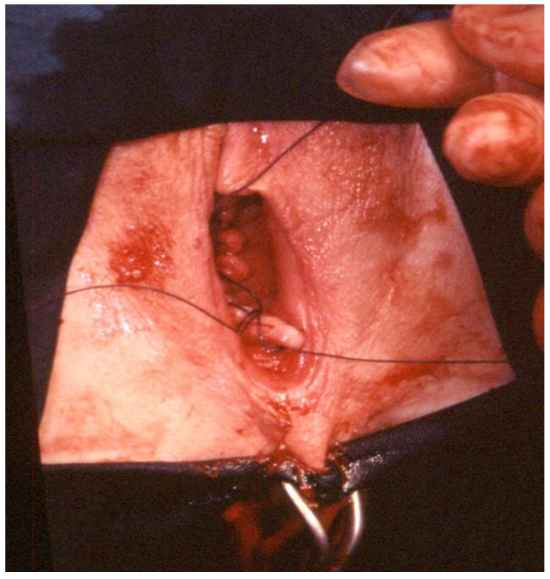 Ijerph 19 11381 g009 550