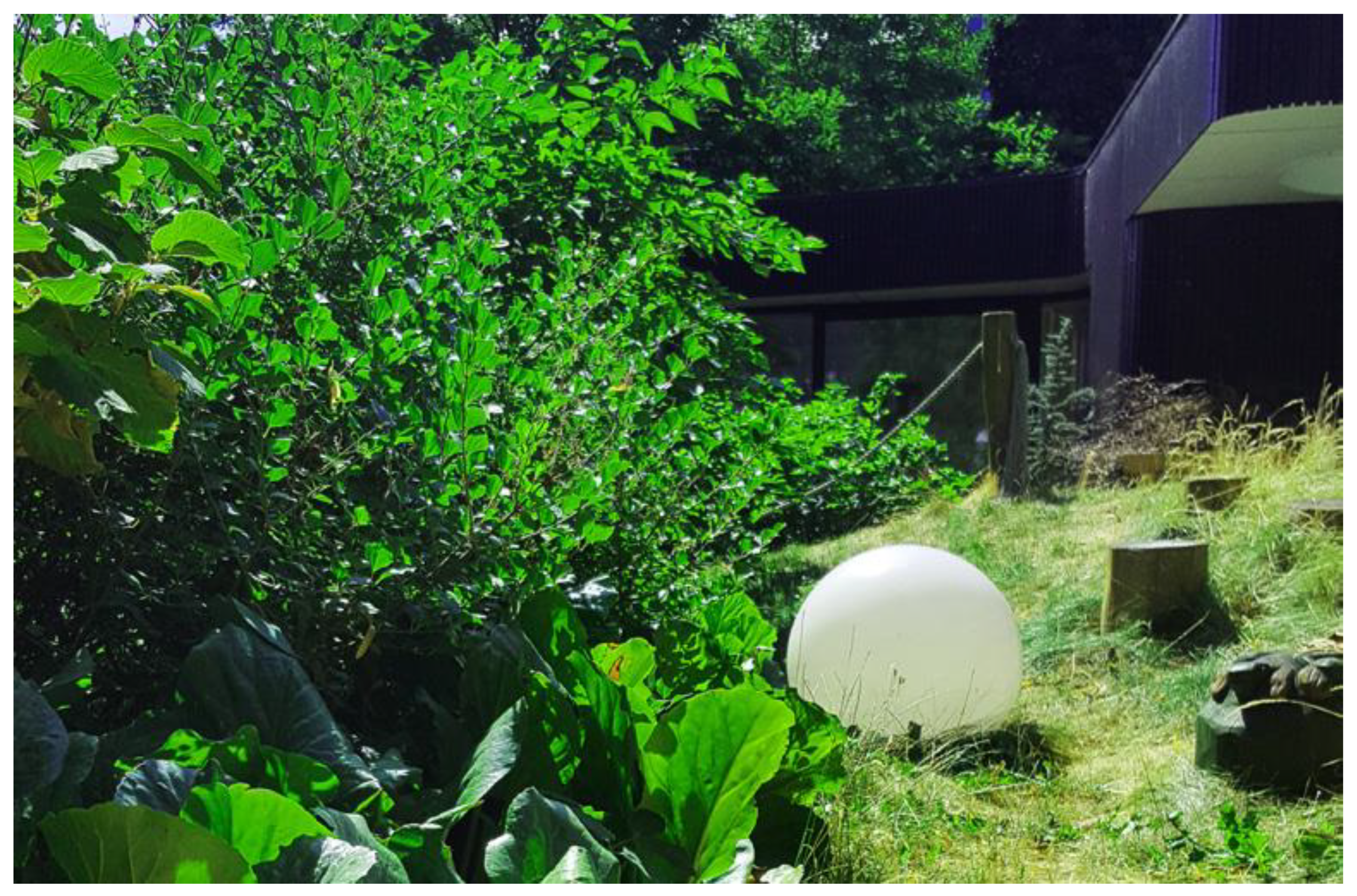 Ijerph 19 11414 g003 550