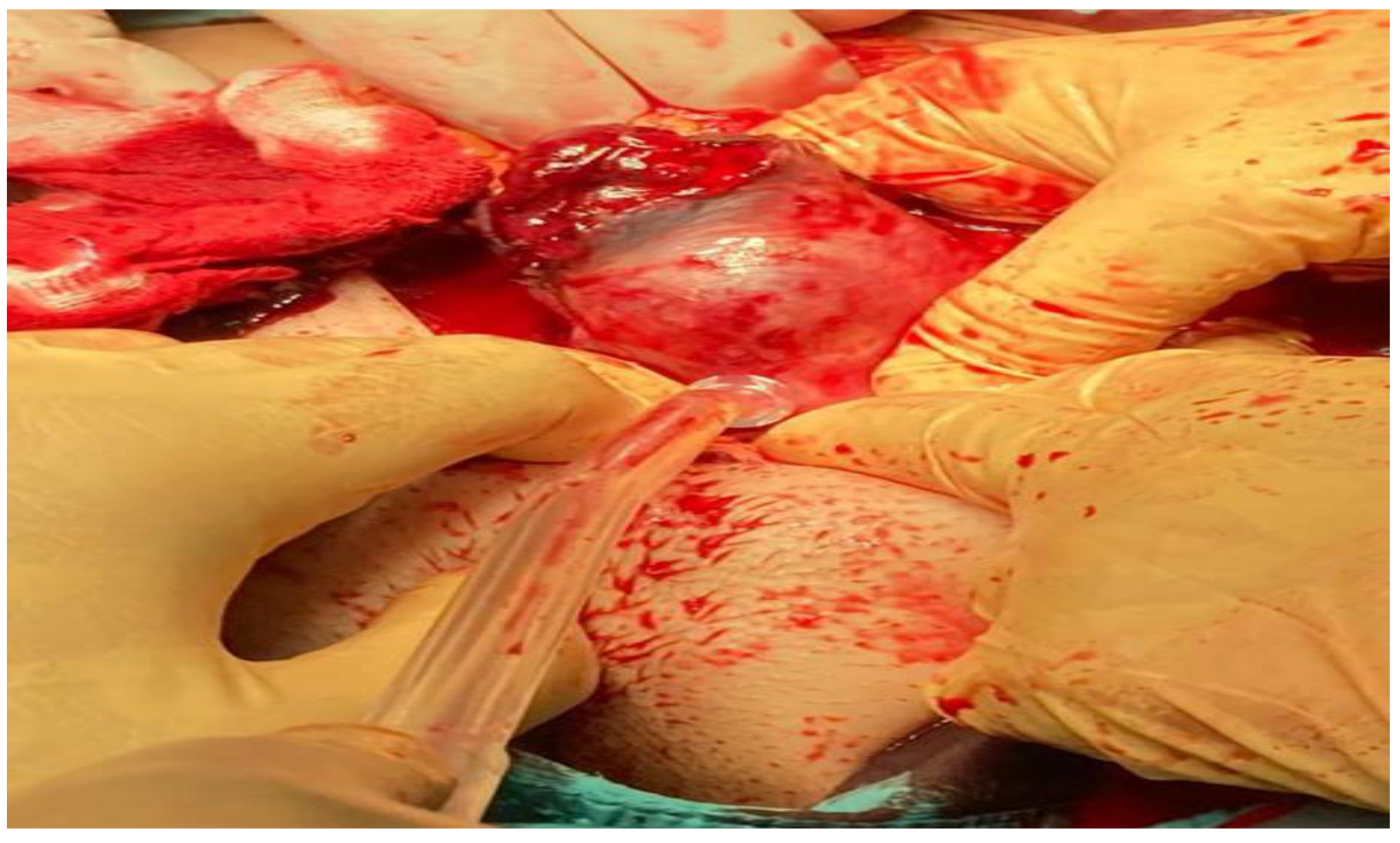 Ijerph 19 11464 g008 550