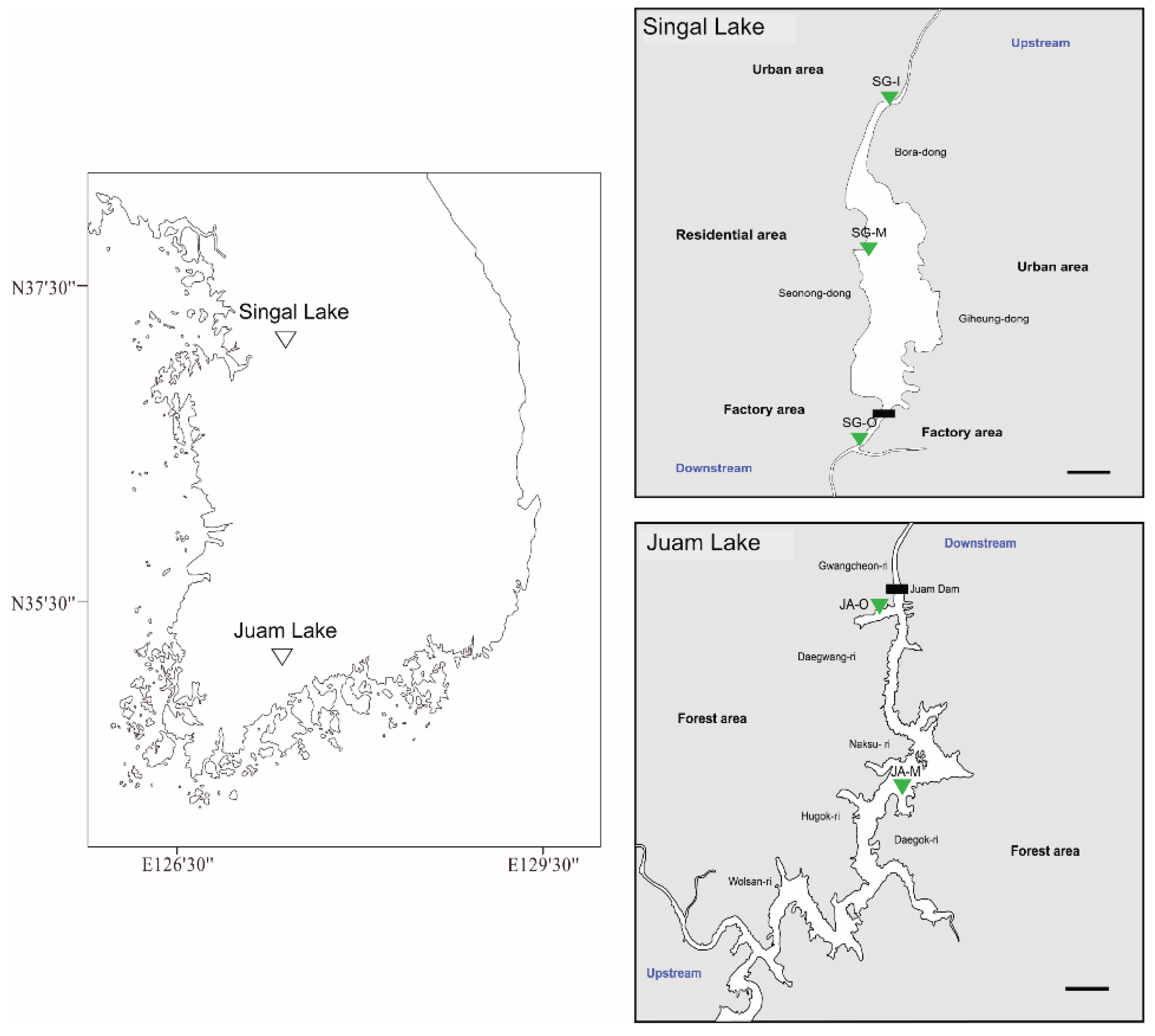 Ijerph 19 11471 g001