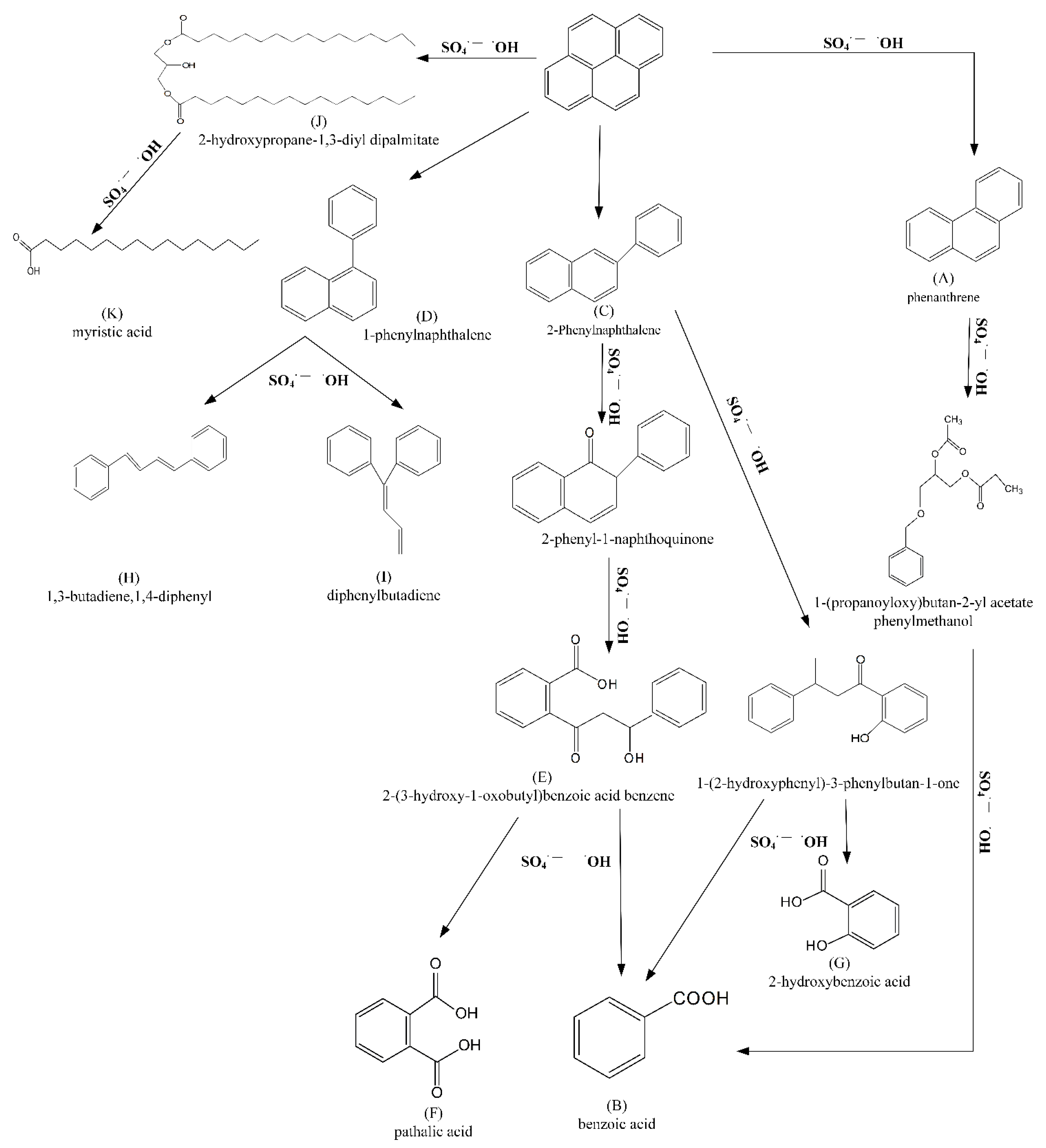 Ijerph 19 11518 g008