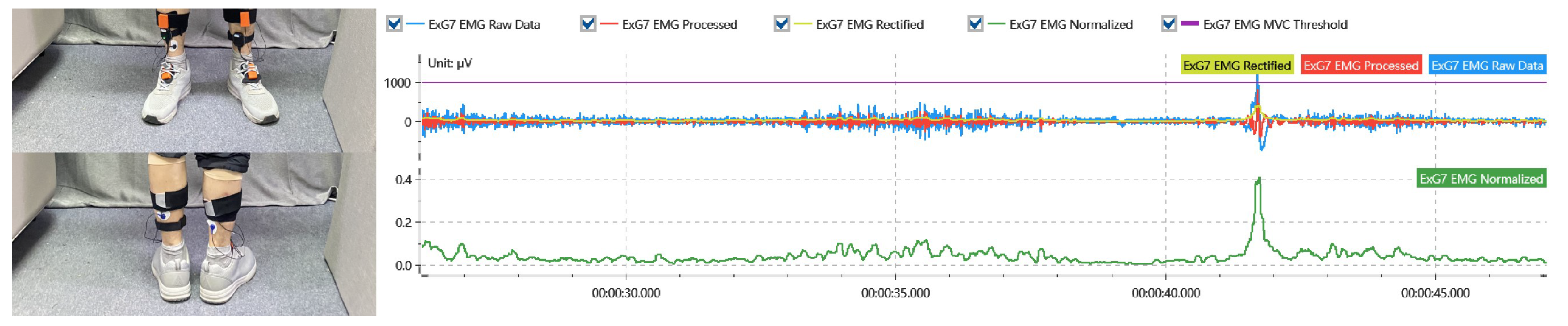 Ijerph 19 11522 g015