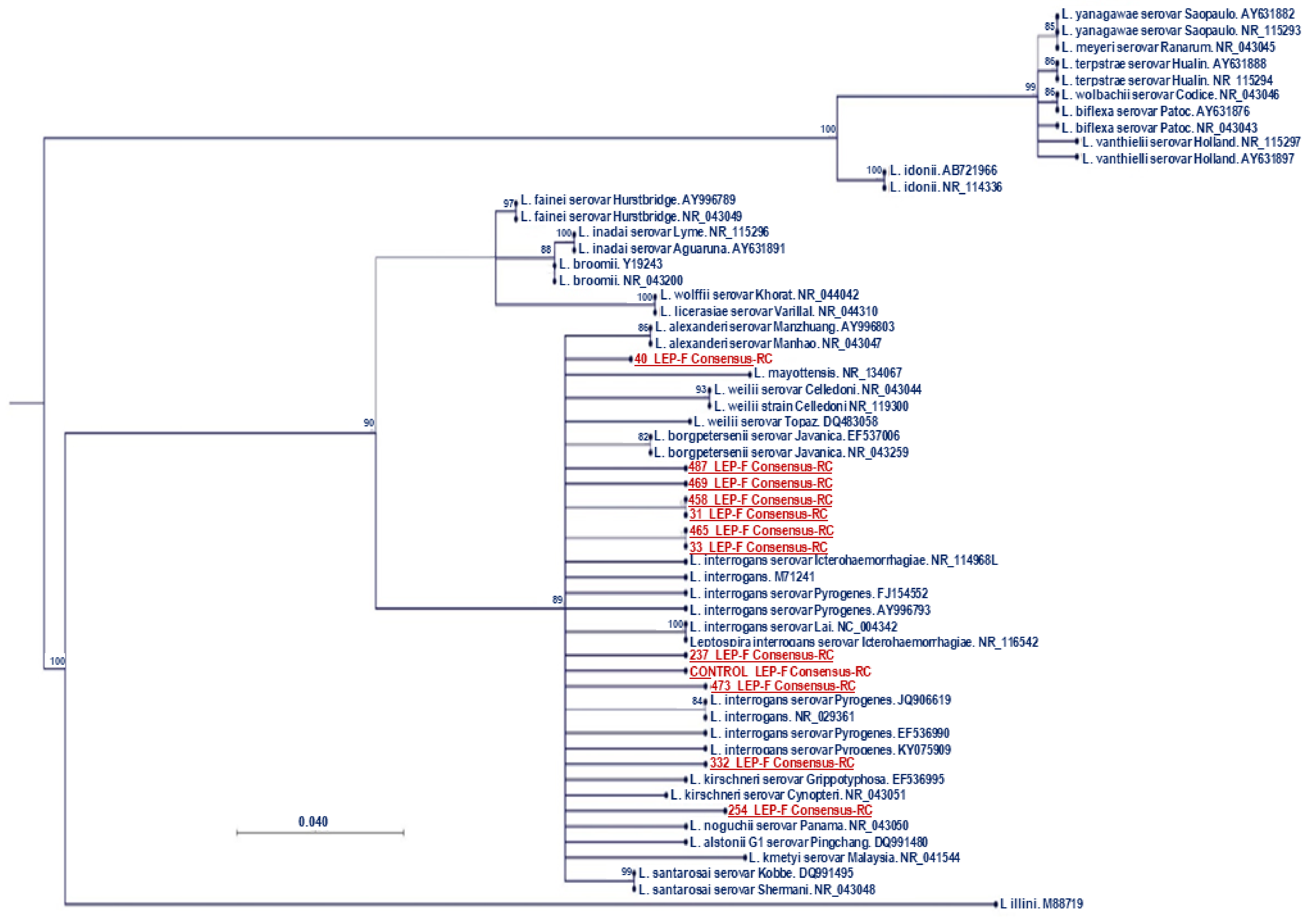 Ijerph 19 11539 g001