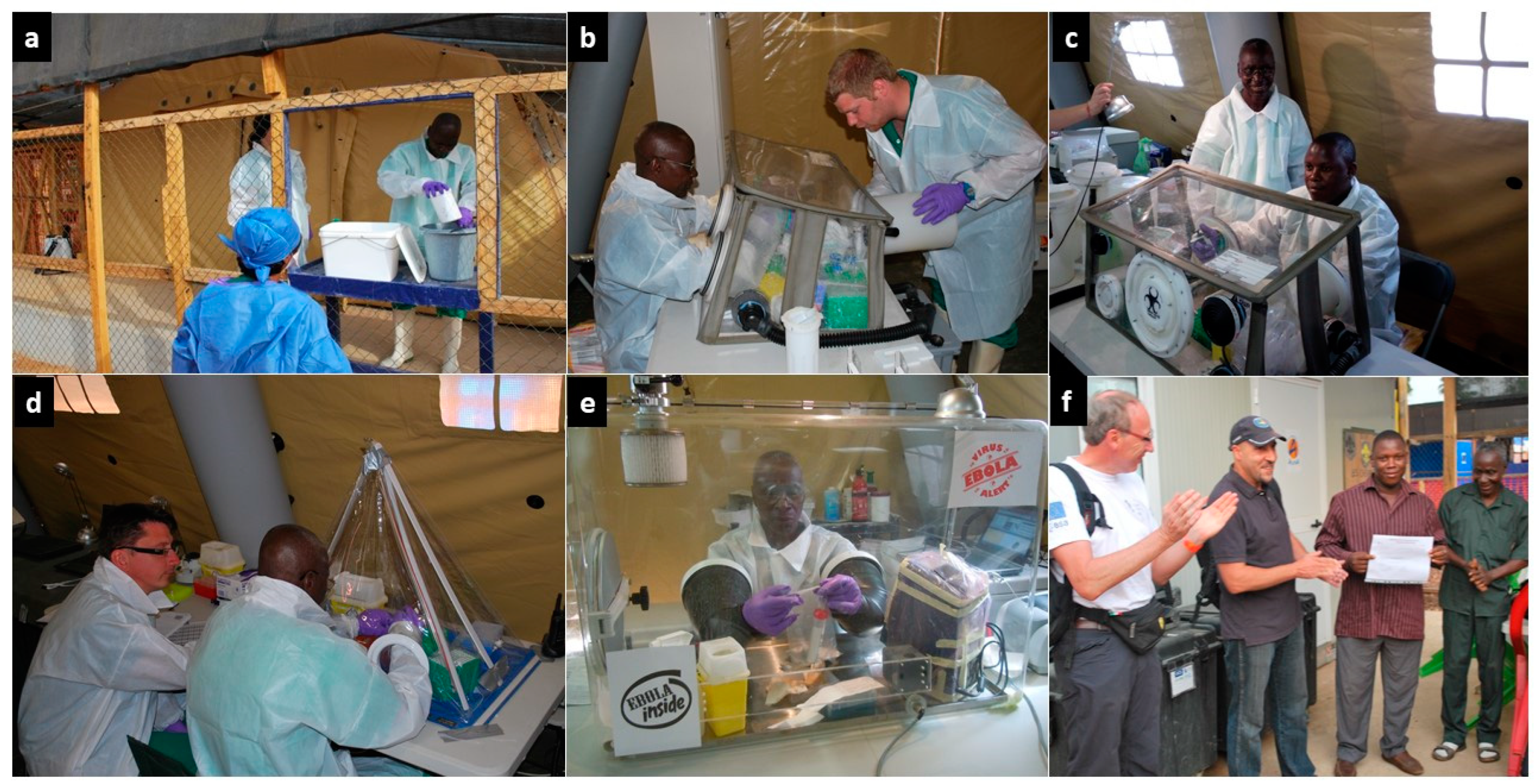 Ijerph 19 11566 g004 550