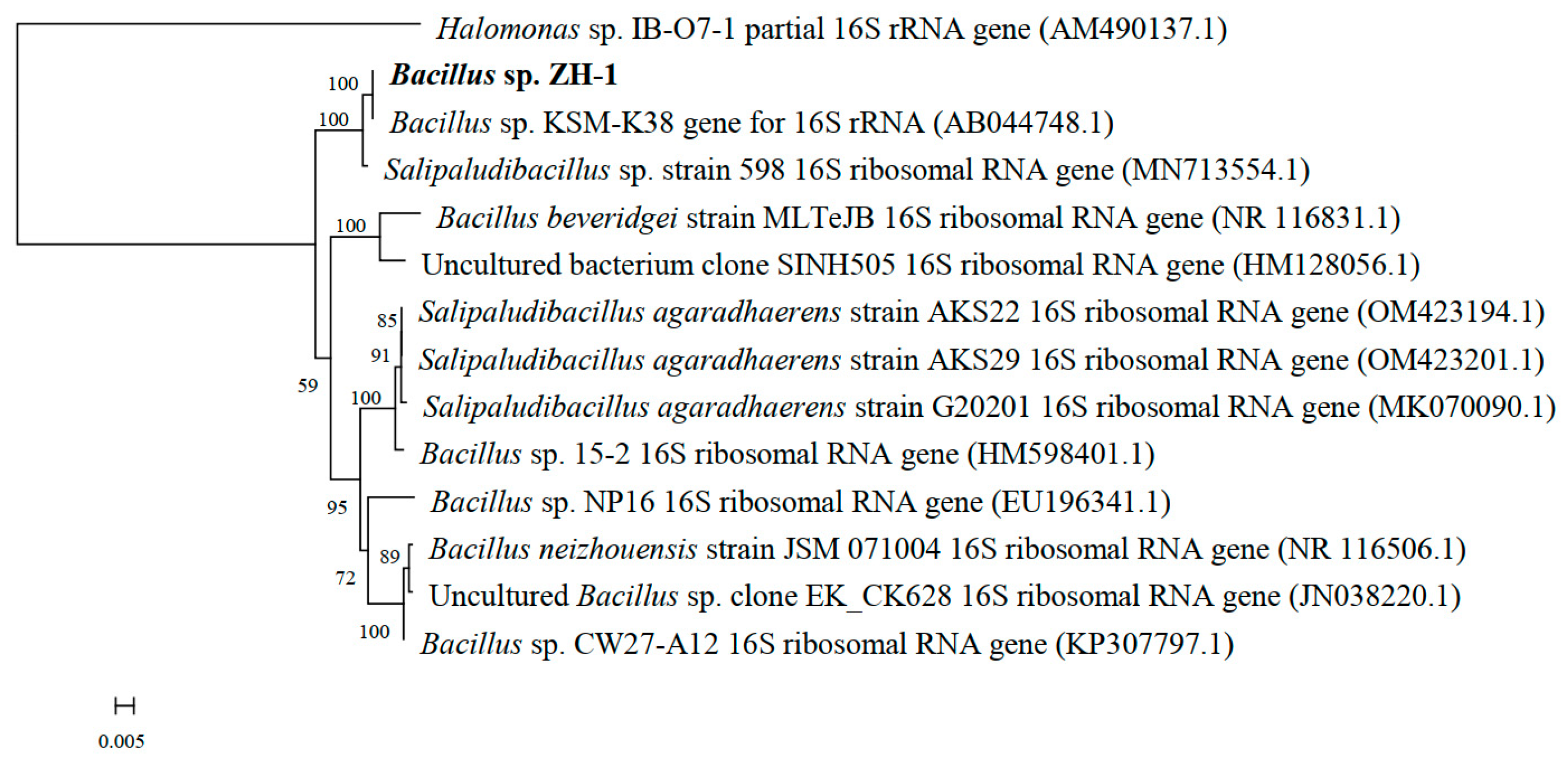 Ijerph 19 11590 g001