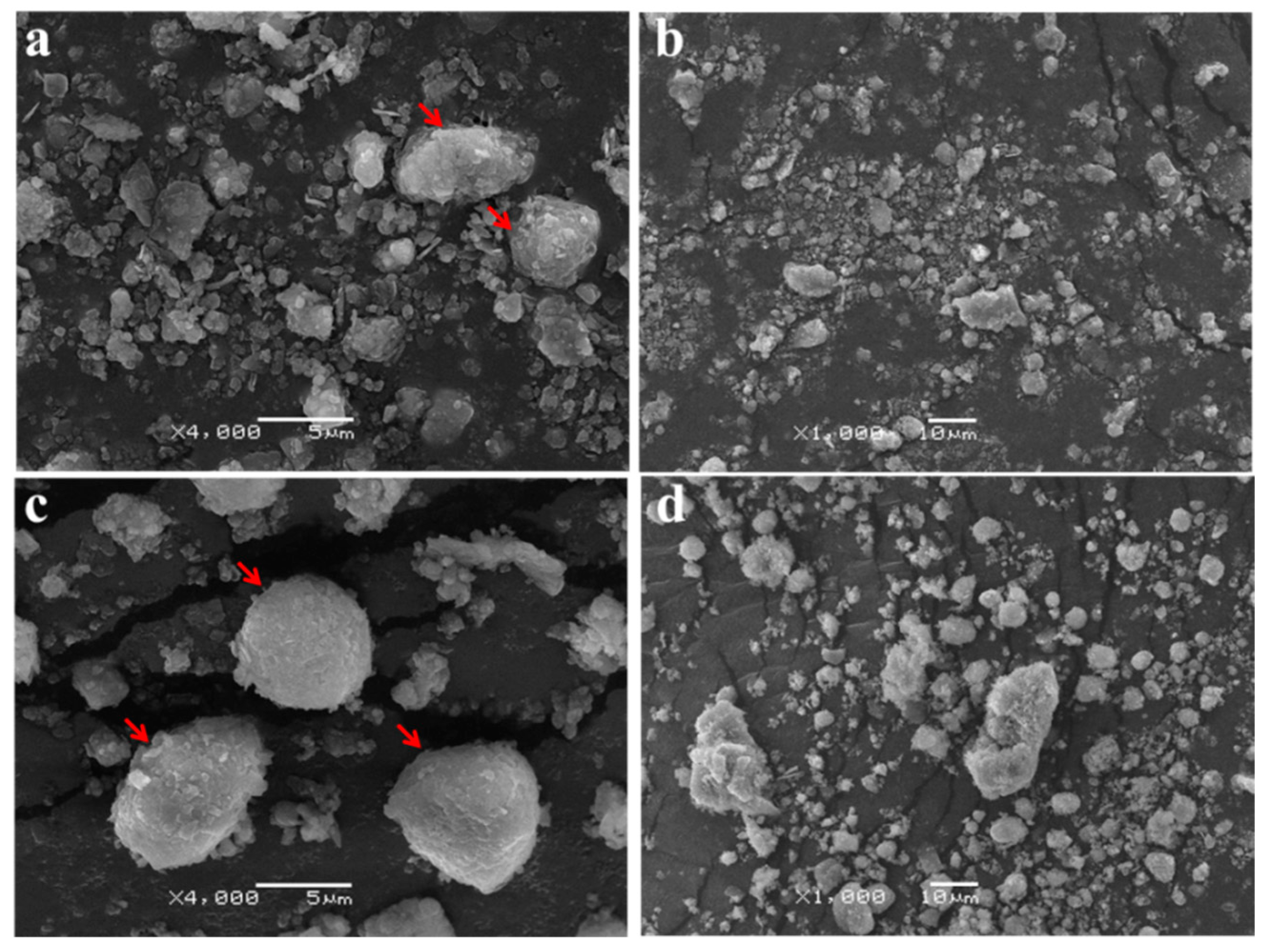 Ijerph 19 11590 g006