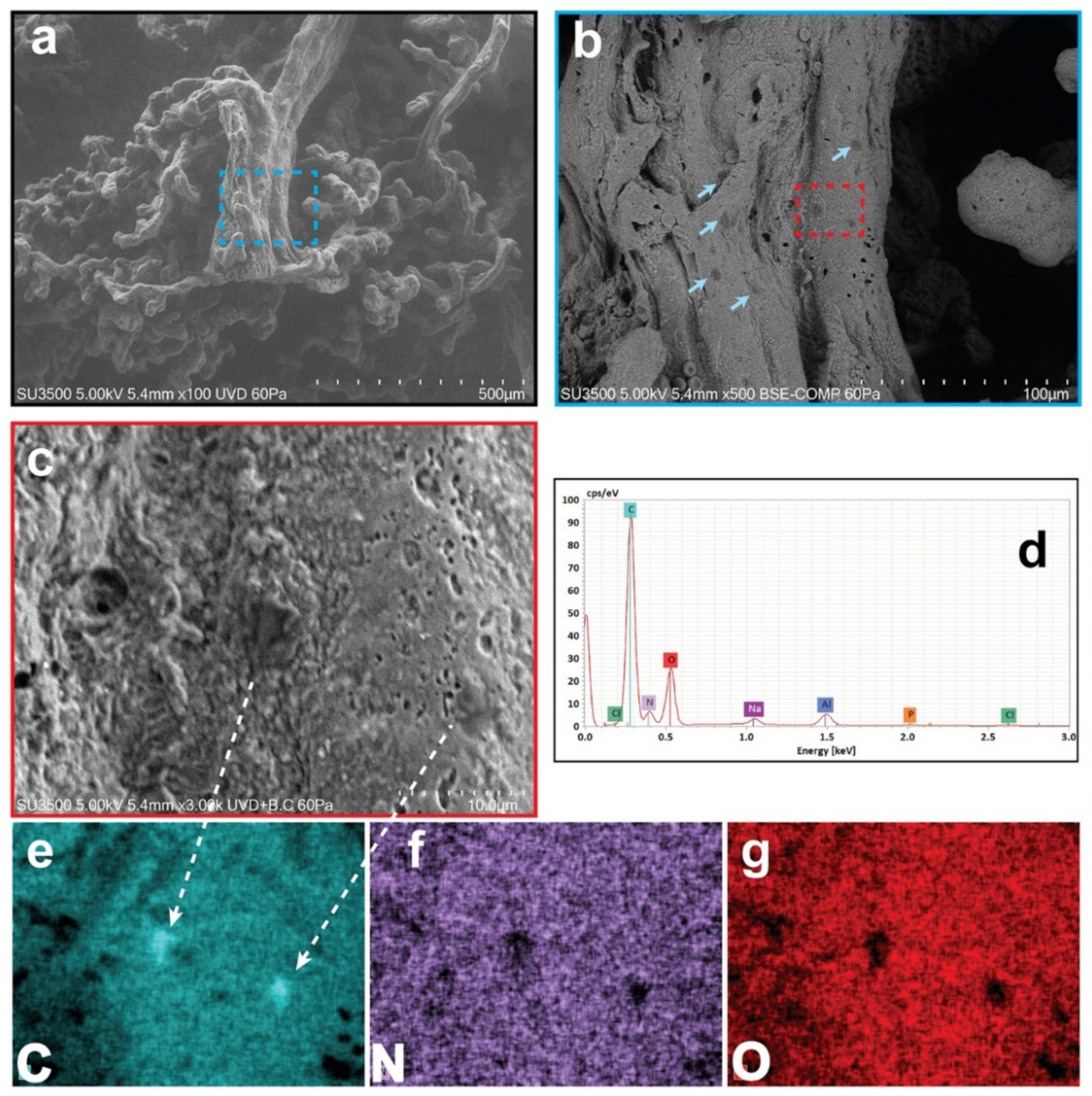 Ijerph 19 11593 g001 550