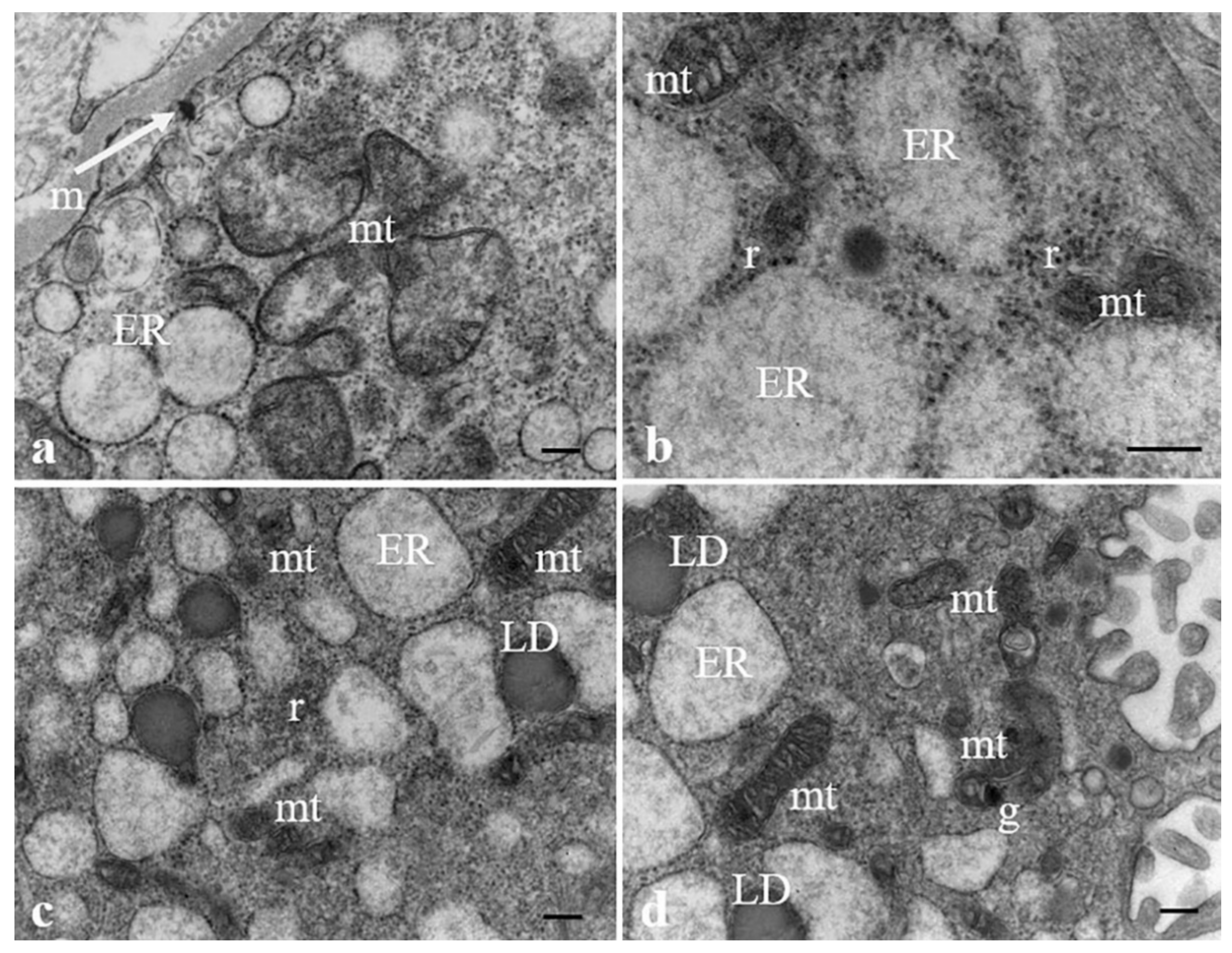 Ijerph 19 11593 g005 550