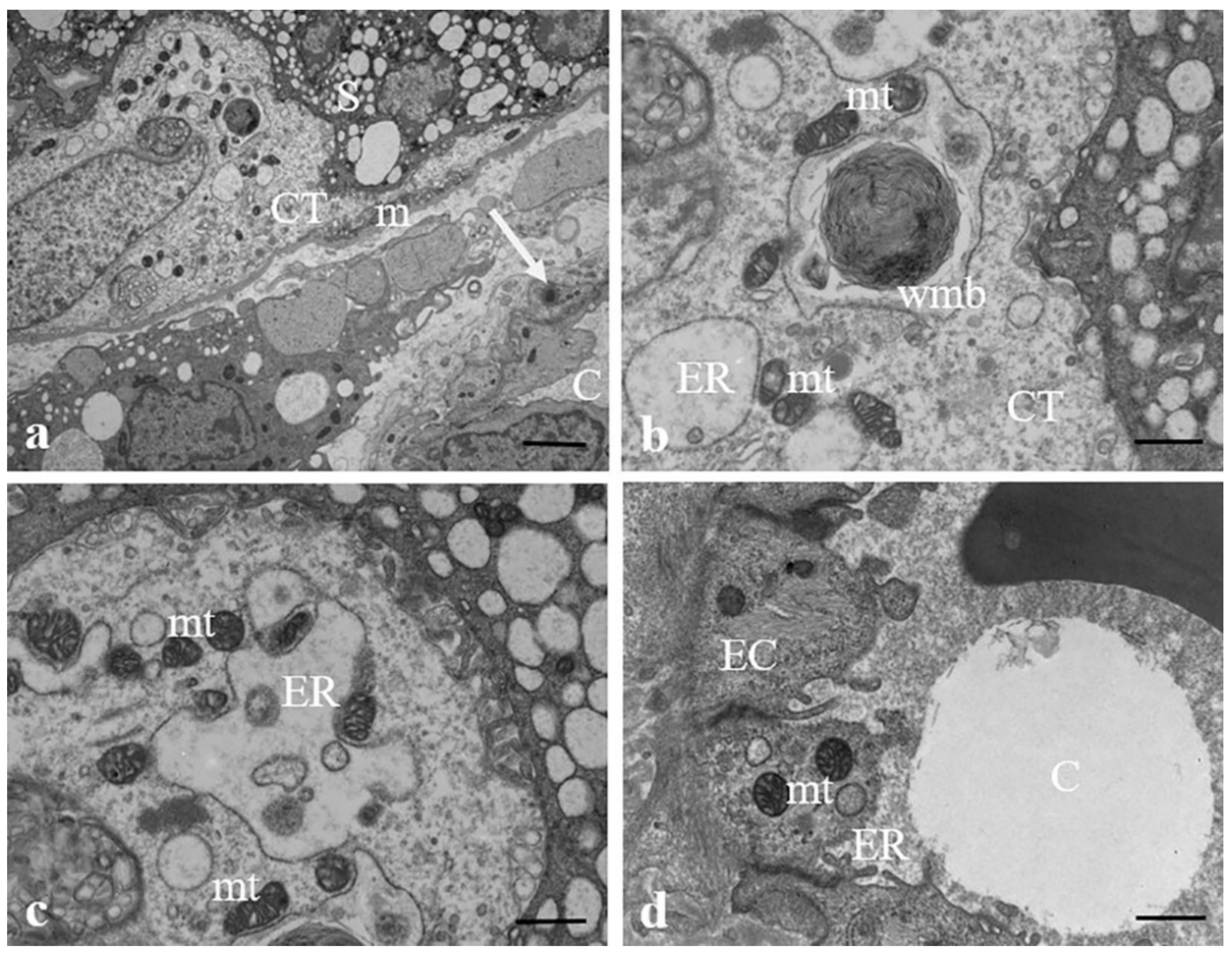 Ijerph 19 11593 g006 550