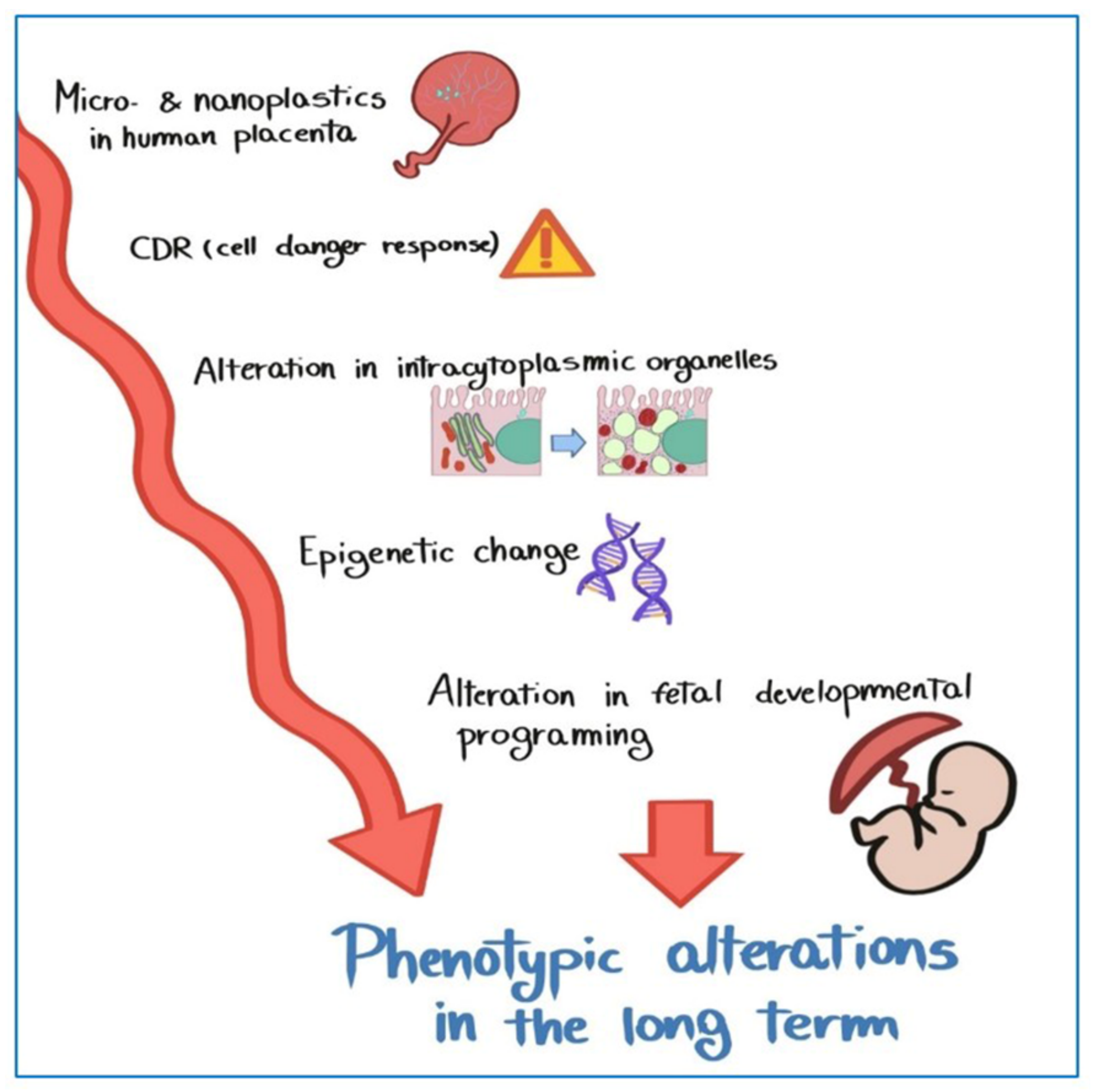 Ijerph 19 11593 g008 550