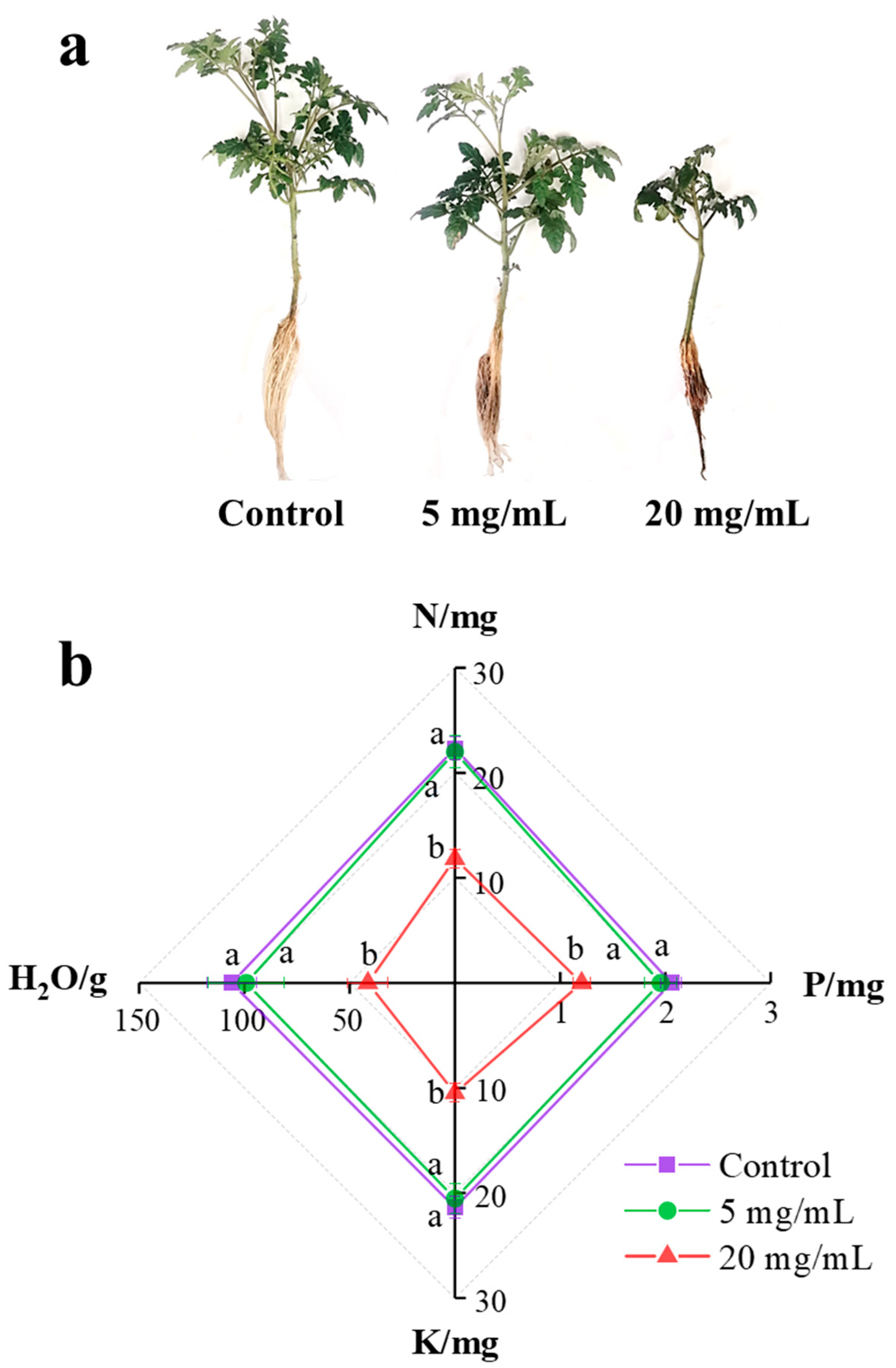 Ijerph 19 11617 g002