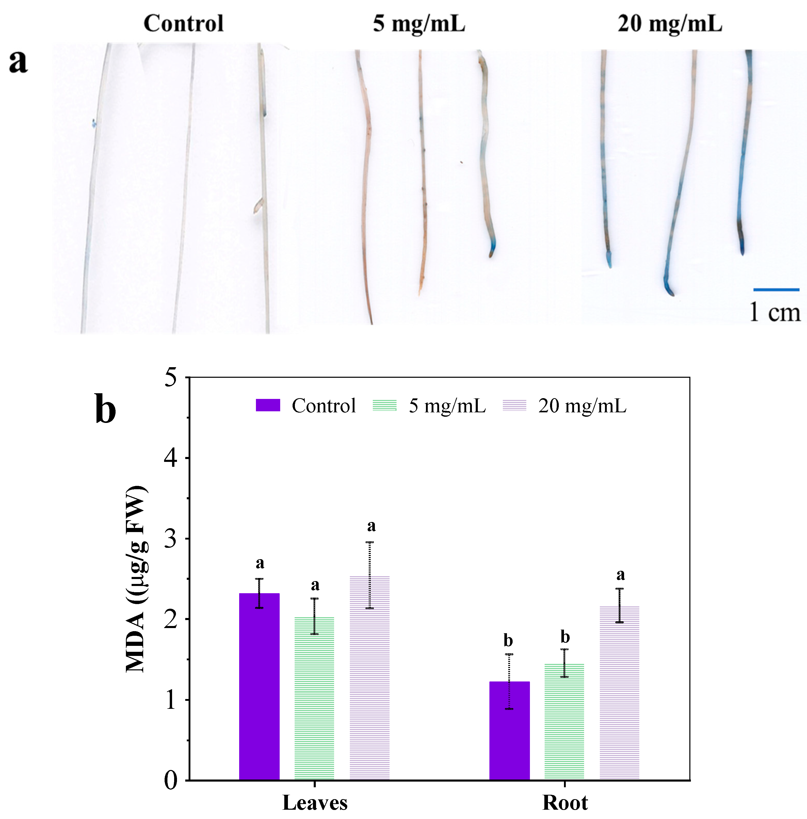 Ijerph 19 11617 g004
