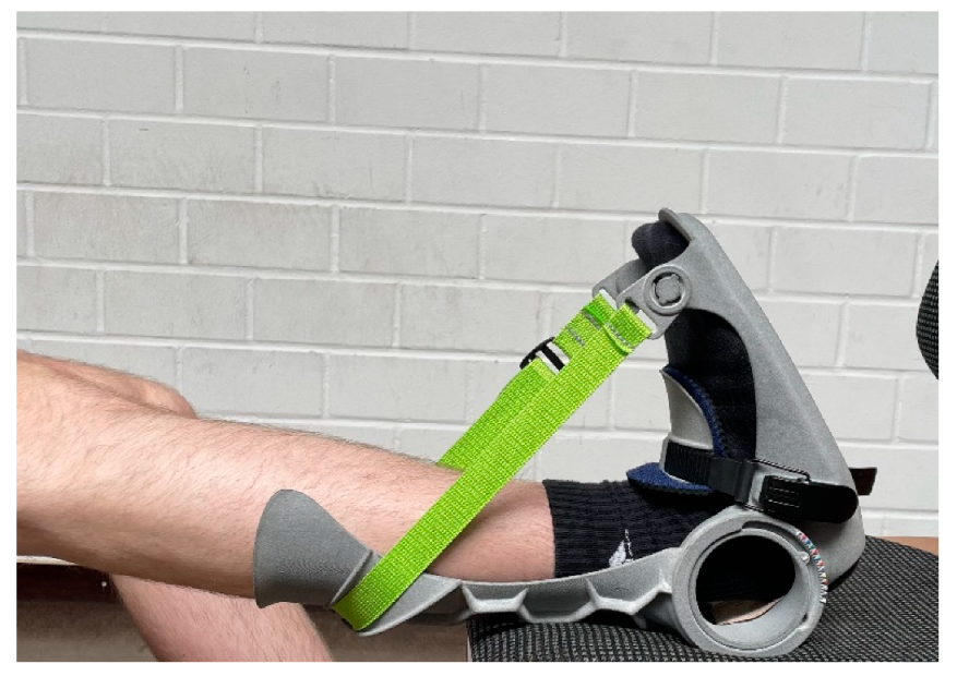 Ijerph 19 11621 g002