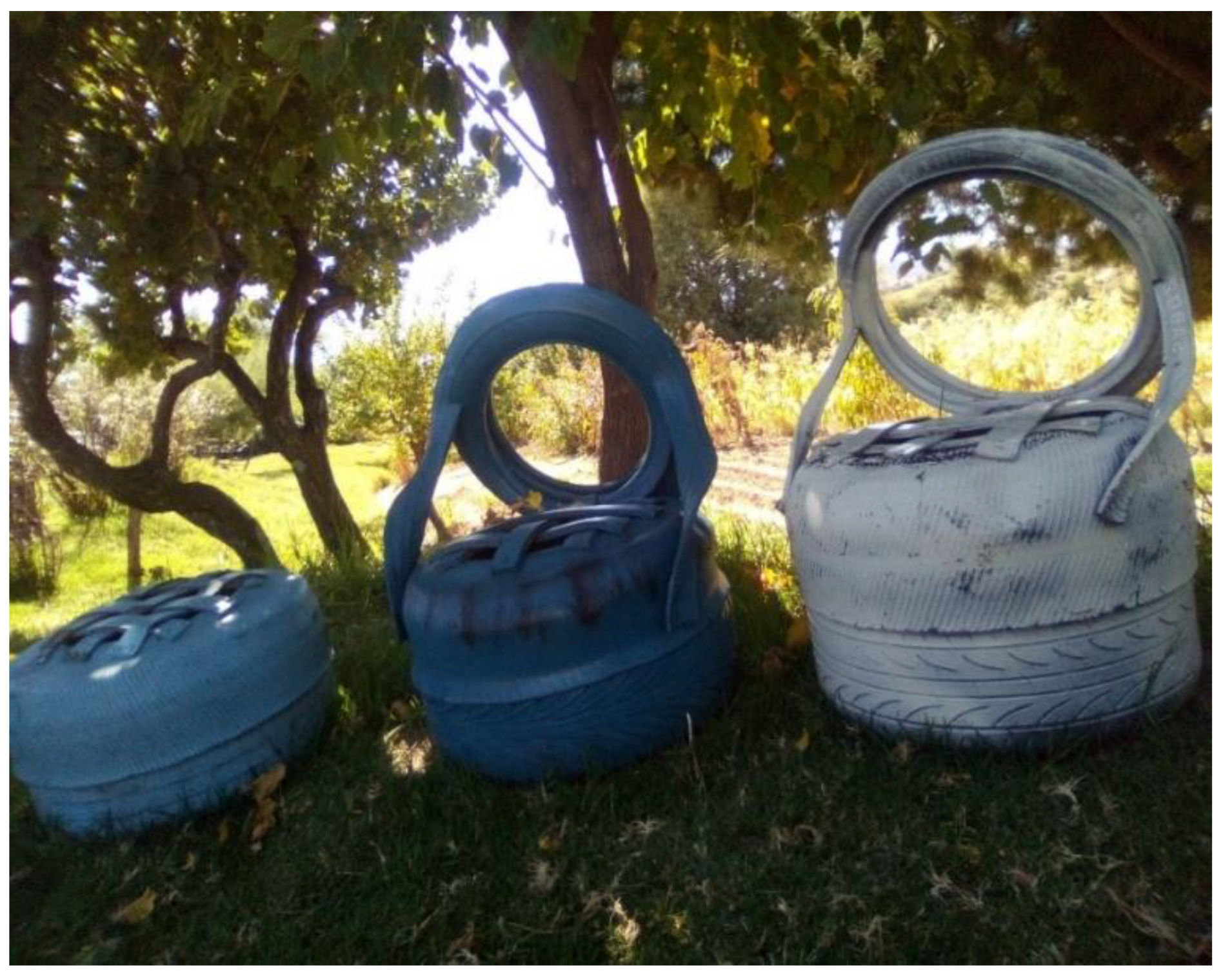 Ijerph 19 11654 g003