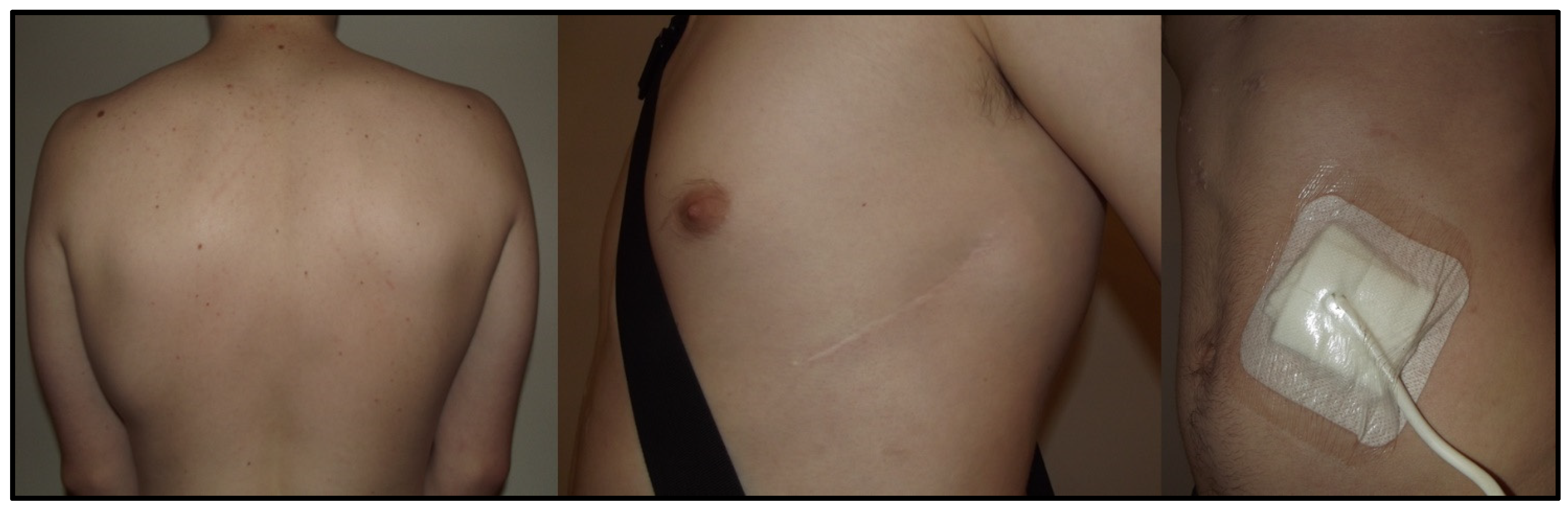 Ijerph 19 11661 g001