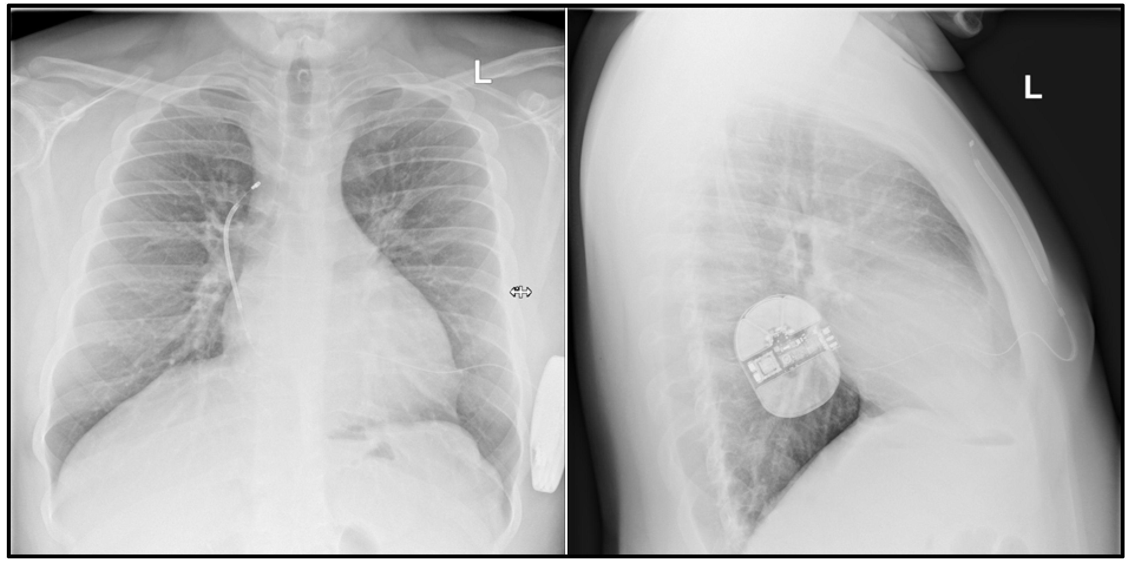 Ijerph 19 11661 g002