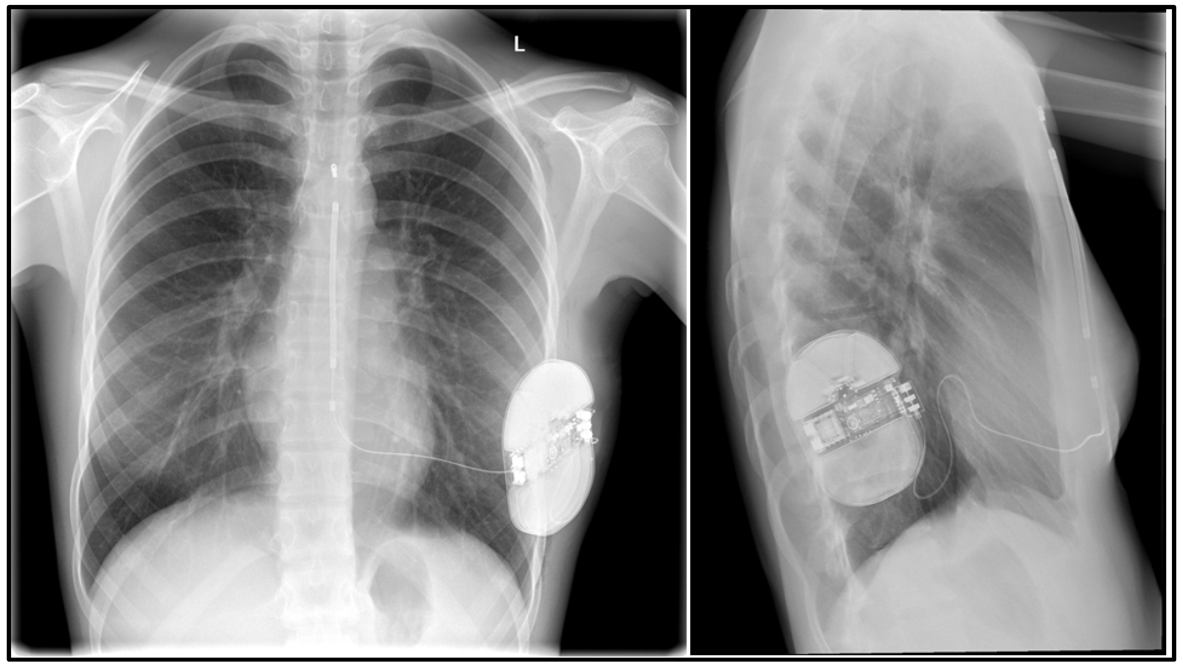 Ijerph 19 11661 g004