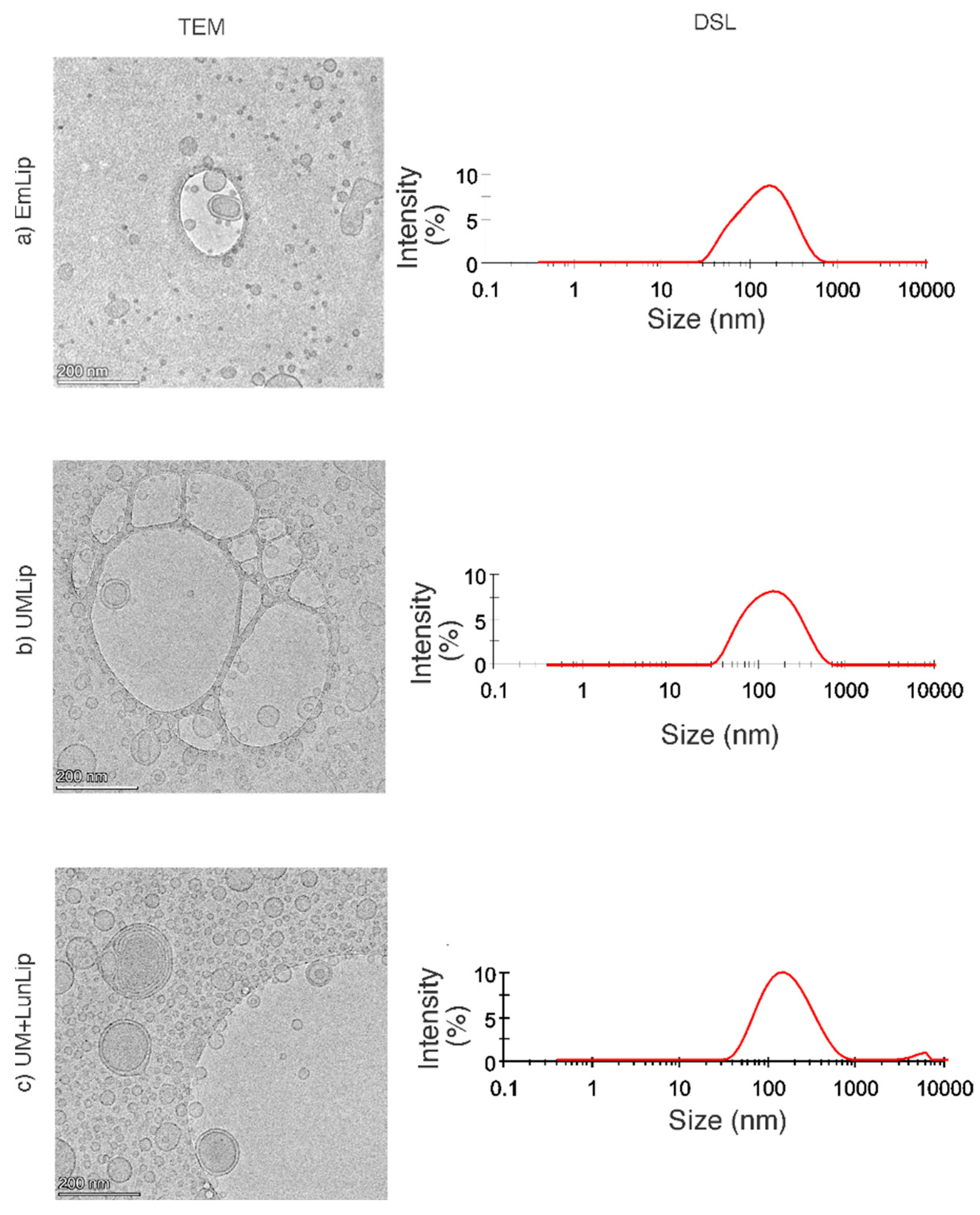 Ijerph 19 11678 g001 Ijerph 19 11678 g001