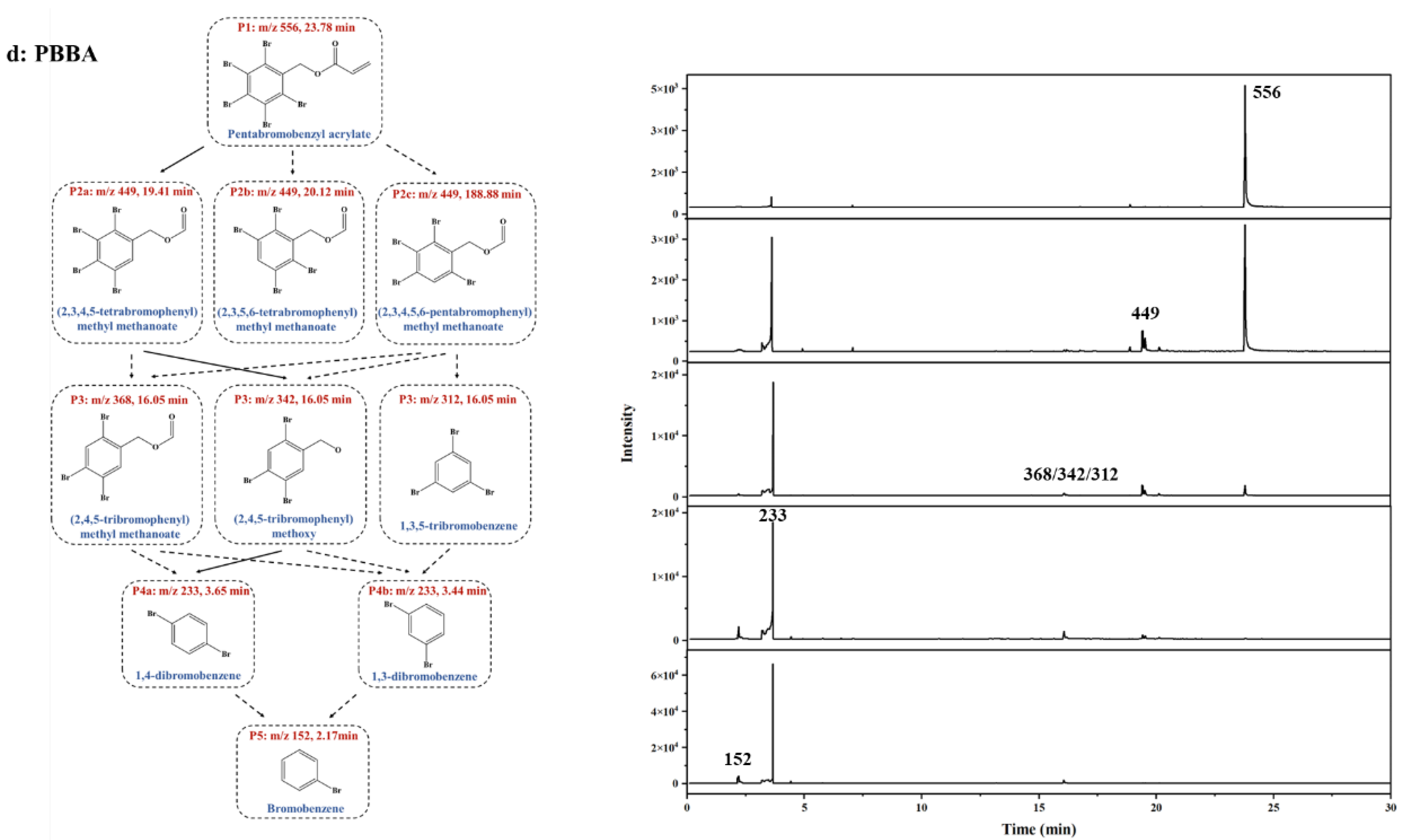 Ijerph 19 11690 g009c