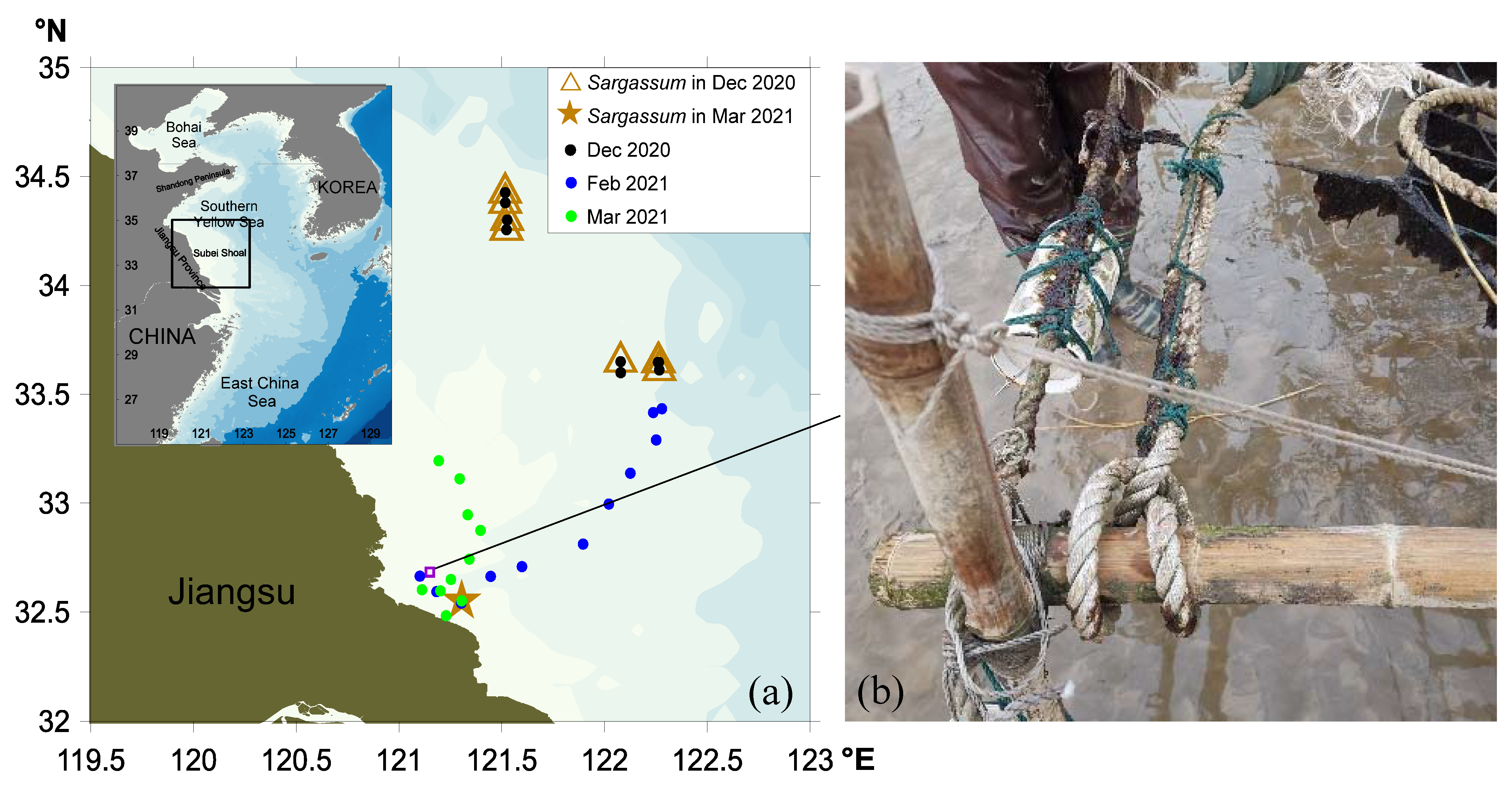 Ijerph 19 11753 g001