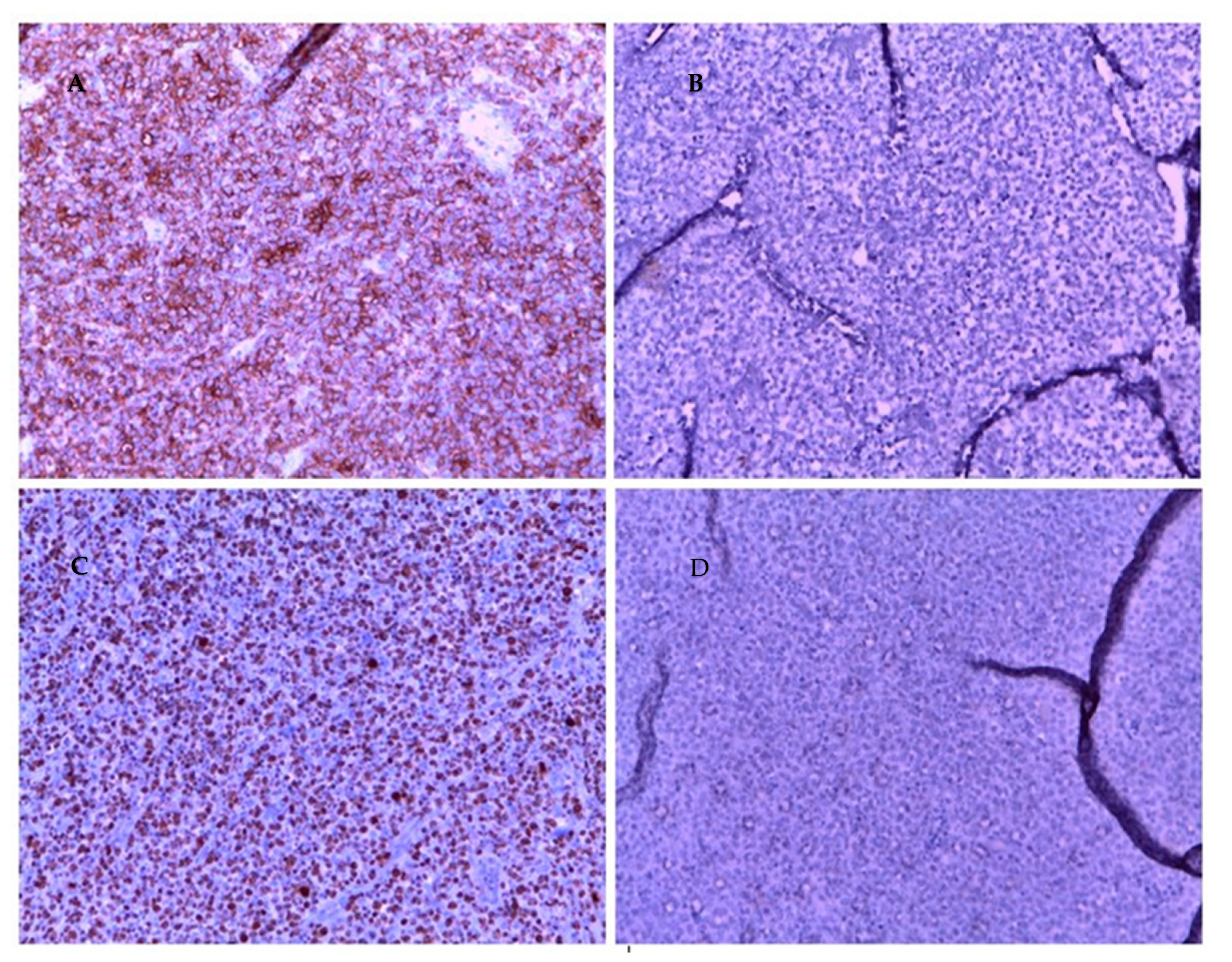 Ijerph 19 11779 g002