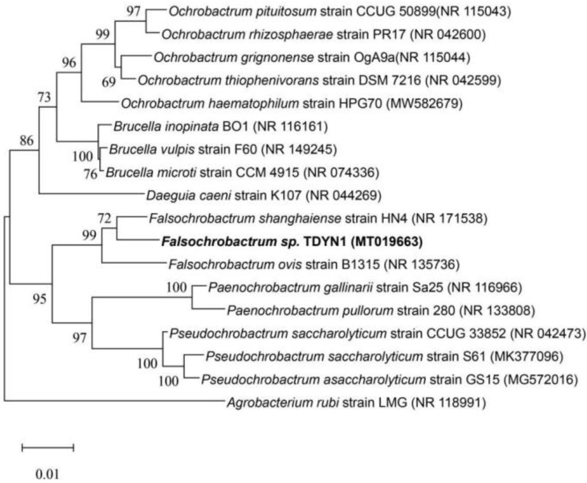 Ijerph 19 11833 g001