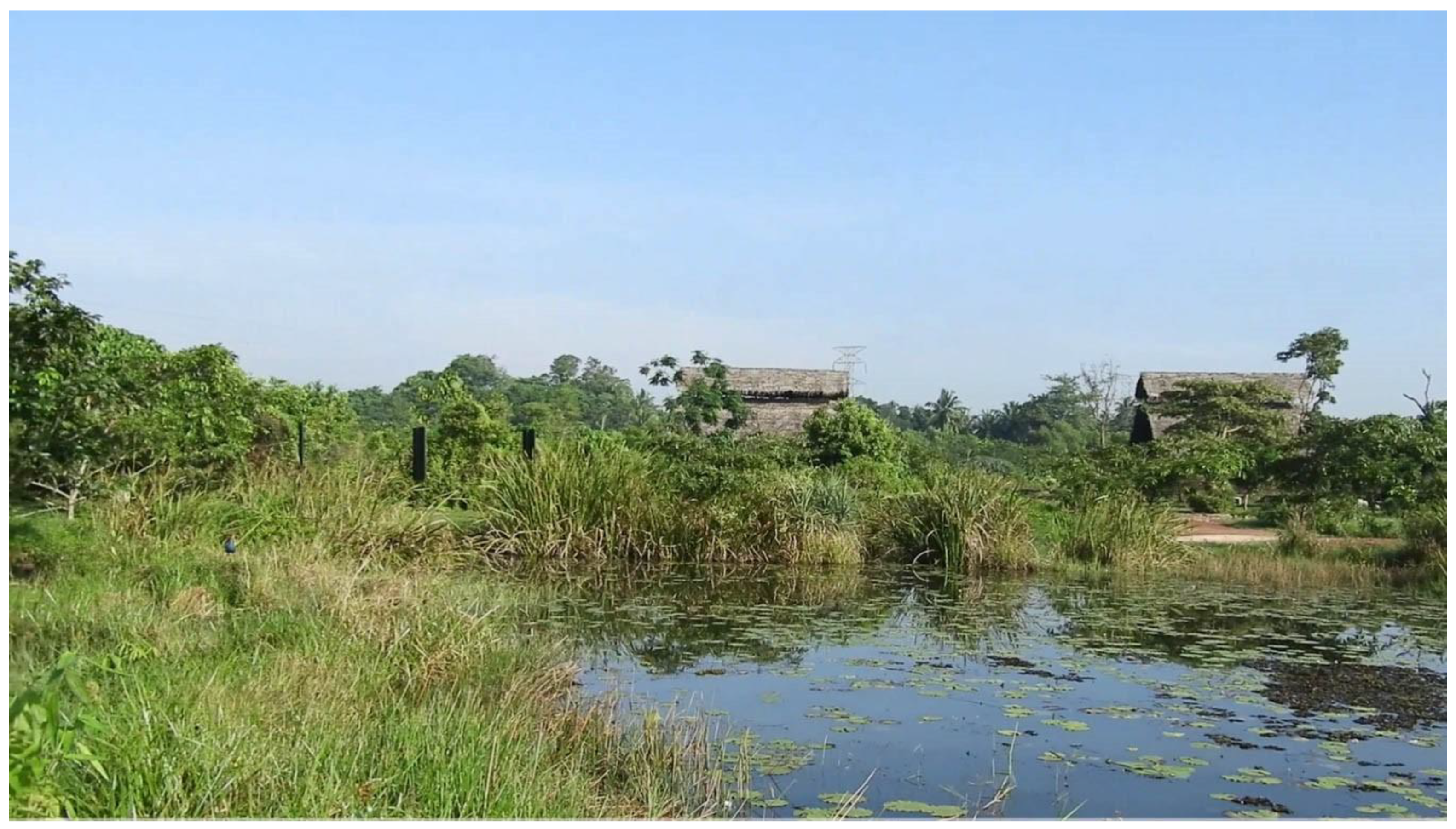 Ijerph 19 11846 g011 Ijerph 19 11846 g011