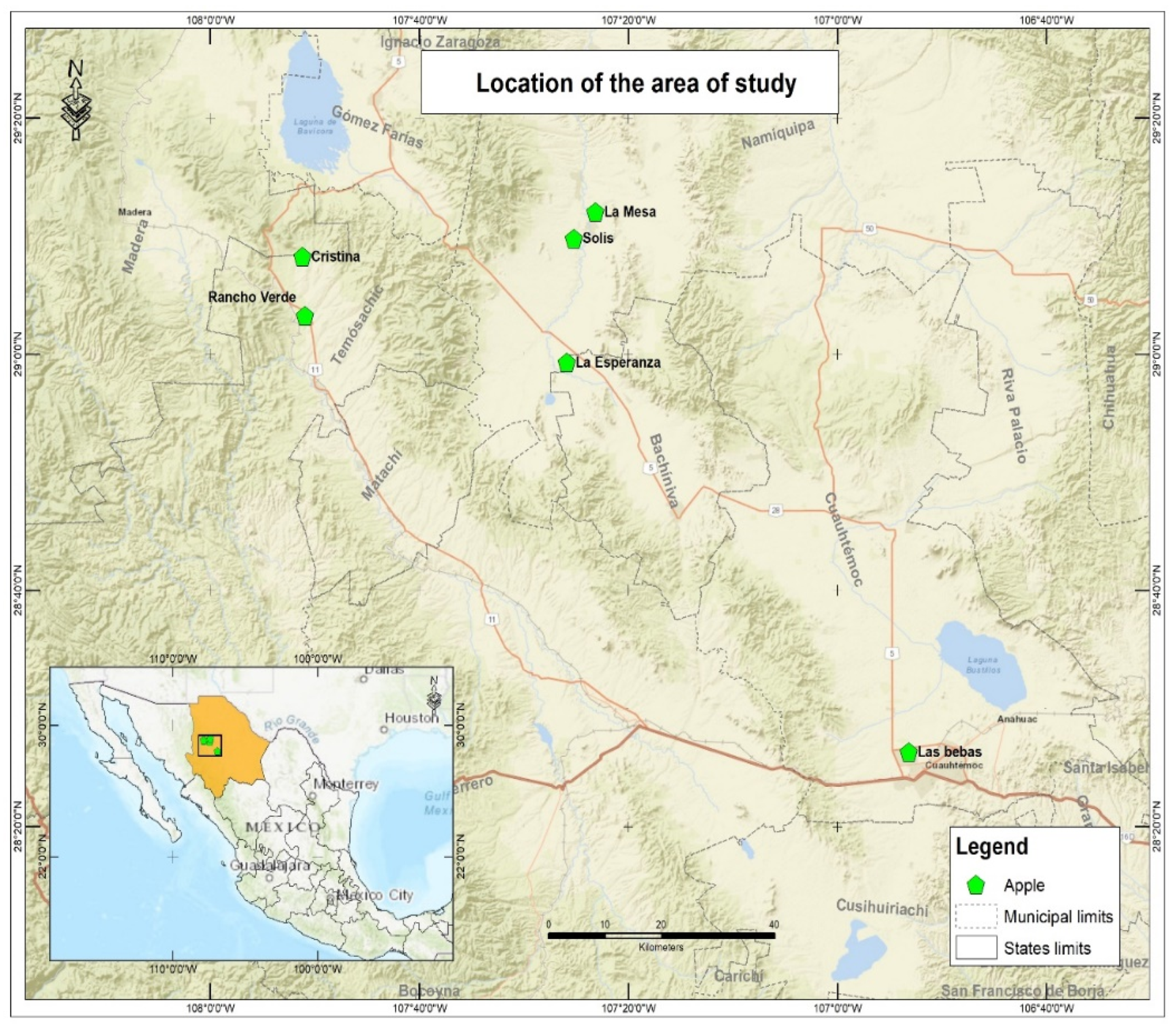 Ijerph 19 12032 g001