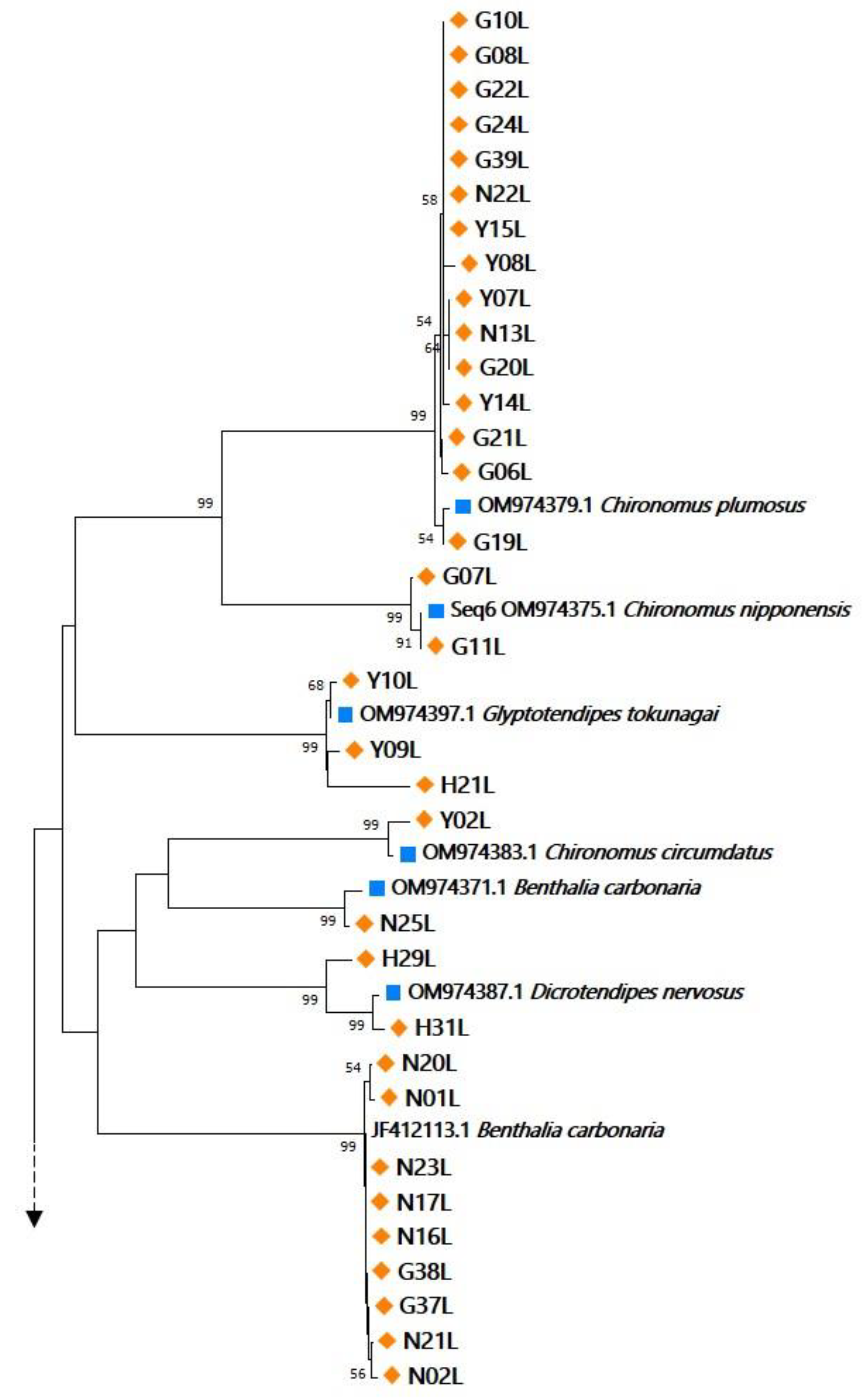 Ijerph 19 12035 g002a