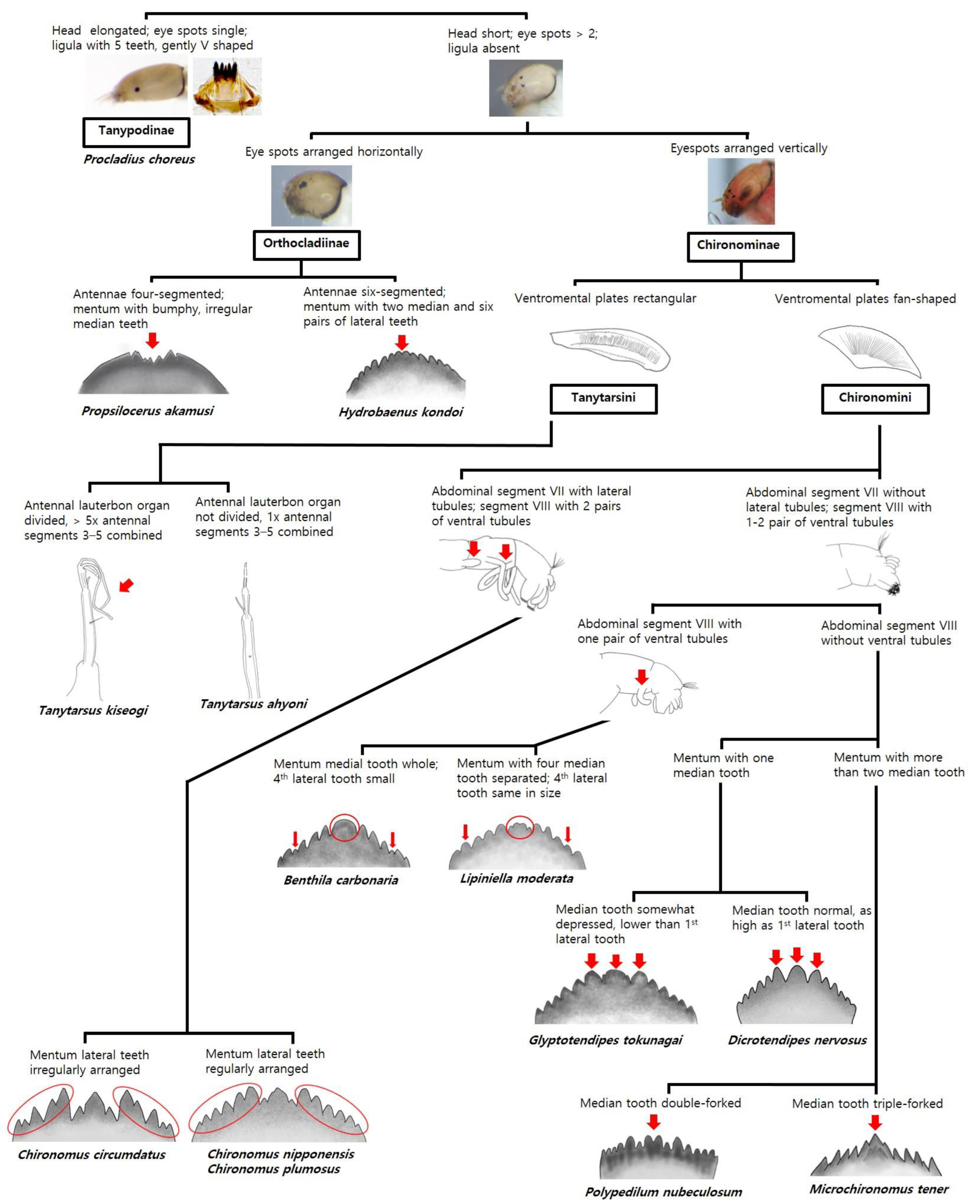 Ijerph 19 12035 g003