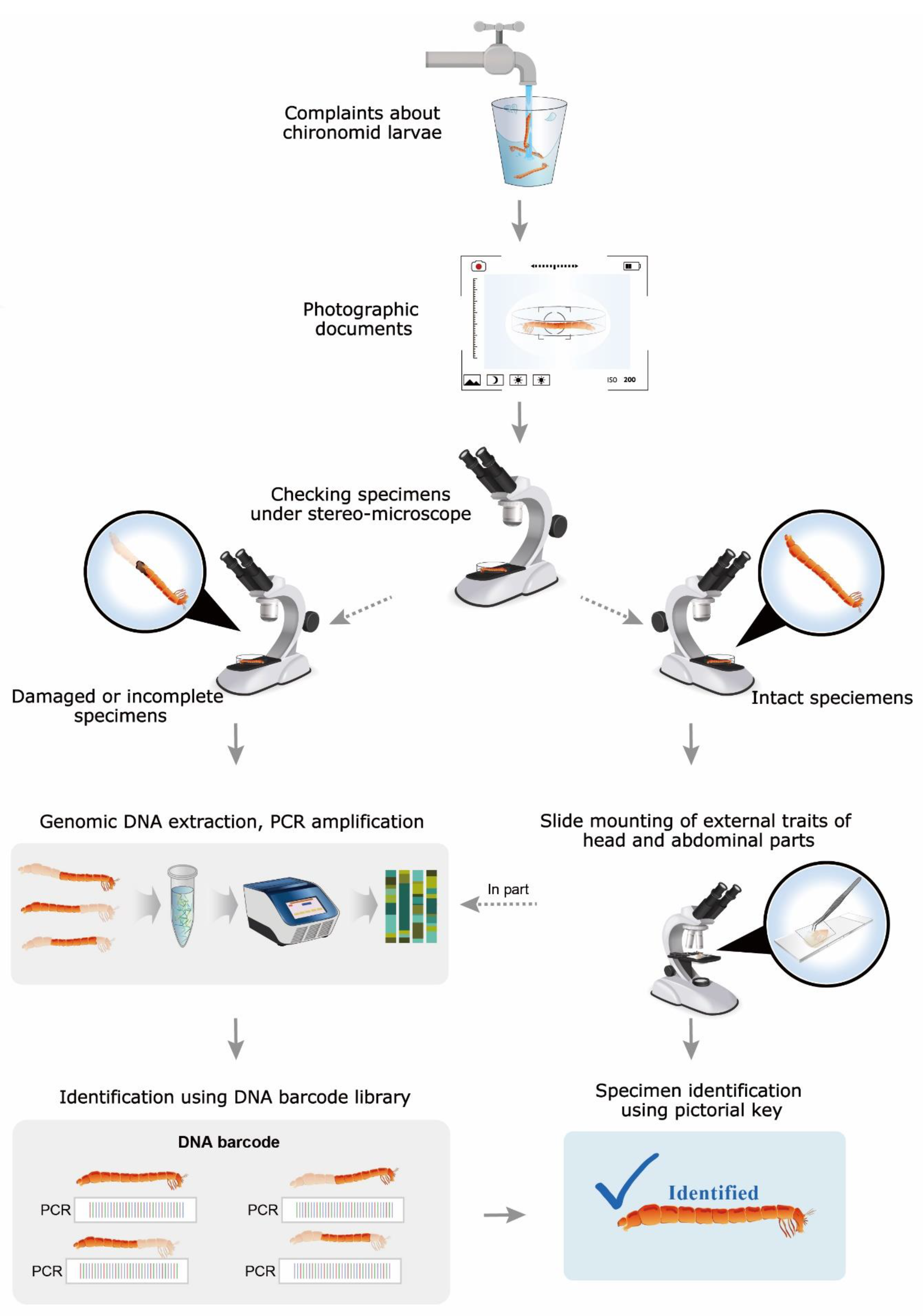 Ijerph 19 12035 g004