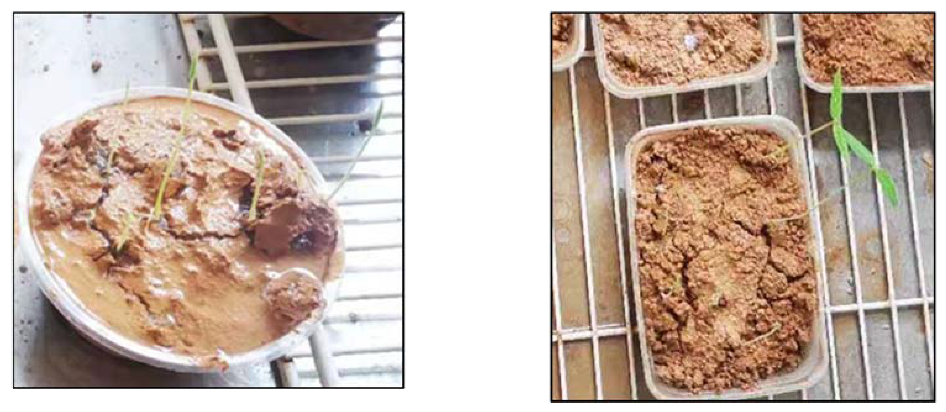 Ijerph 19 12121 g011 550