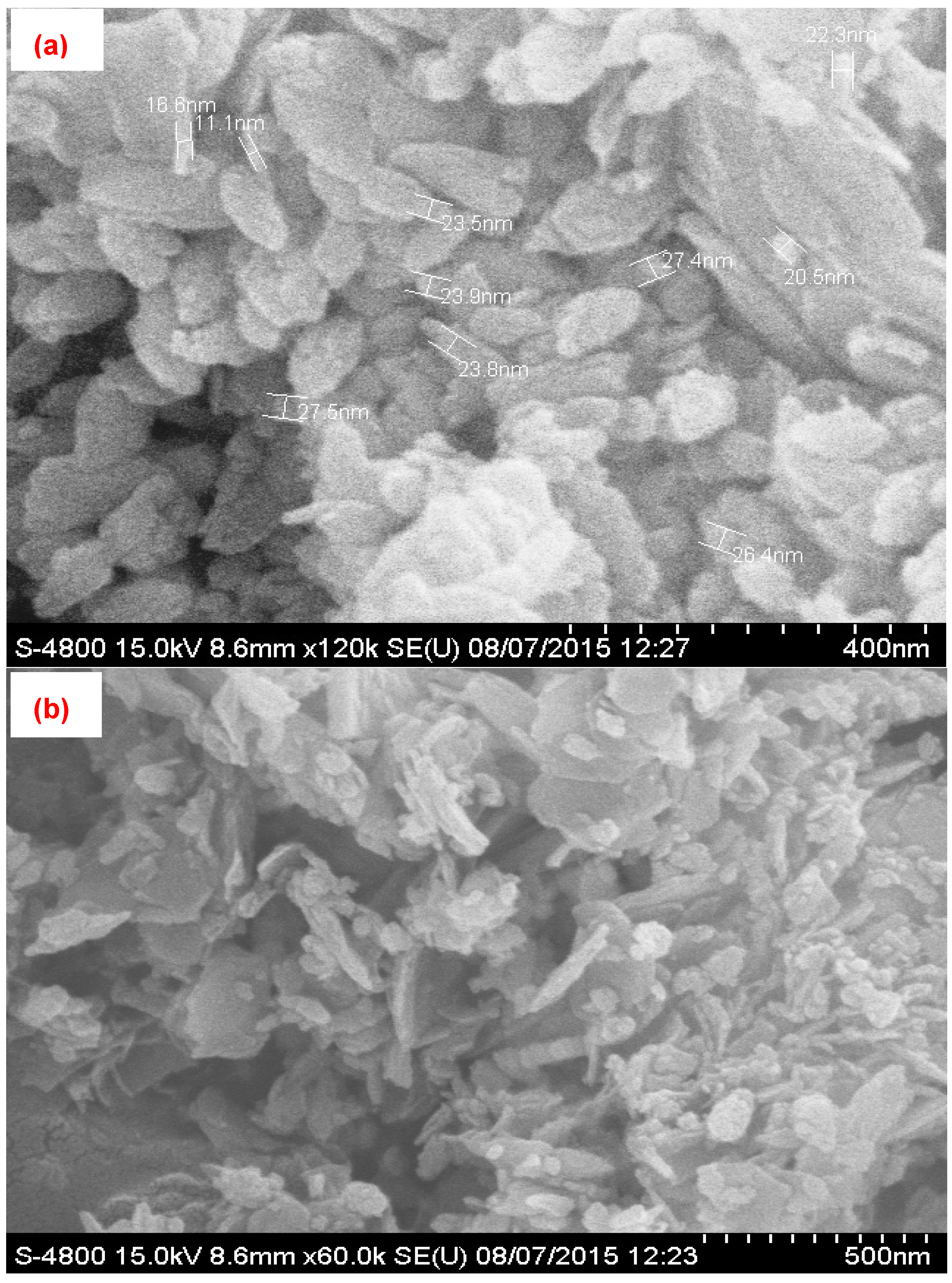 Ijerph 19 12199 g001a